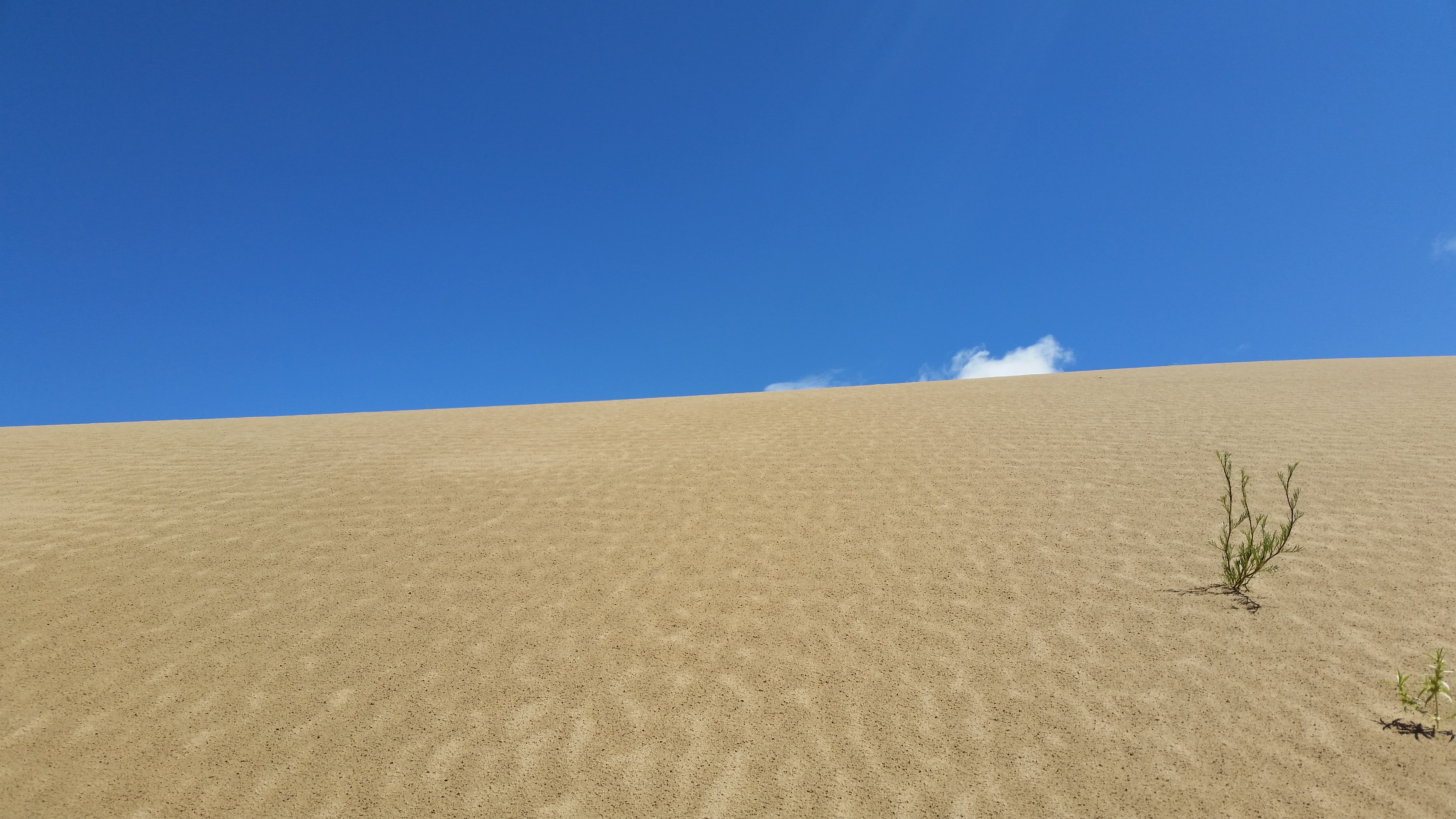 August 12: Golden Sands Bay desert (金沙湾沙漠།）, 3260 m altitude Август 12: Пустинята Залив Златни пясъци (金沙湾沙漠།）, 3260 м височина