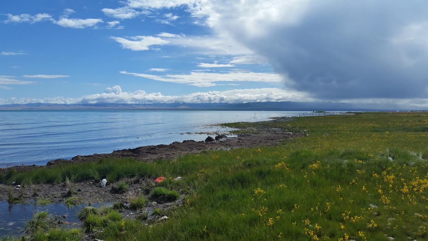 August 12: Qinghai lake (青海湖, མཚོ་སྔོན་པོ།）, 3210 m altitude Август 12: Езерото Чинхай (青海湖, མཚོ་སྔོན་པོ།）, 3210 м височина