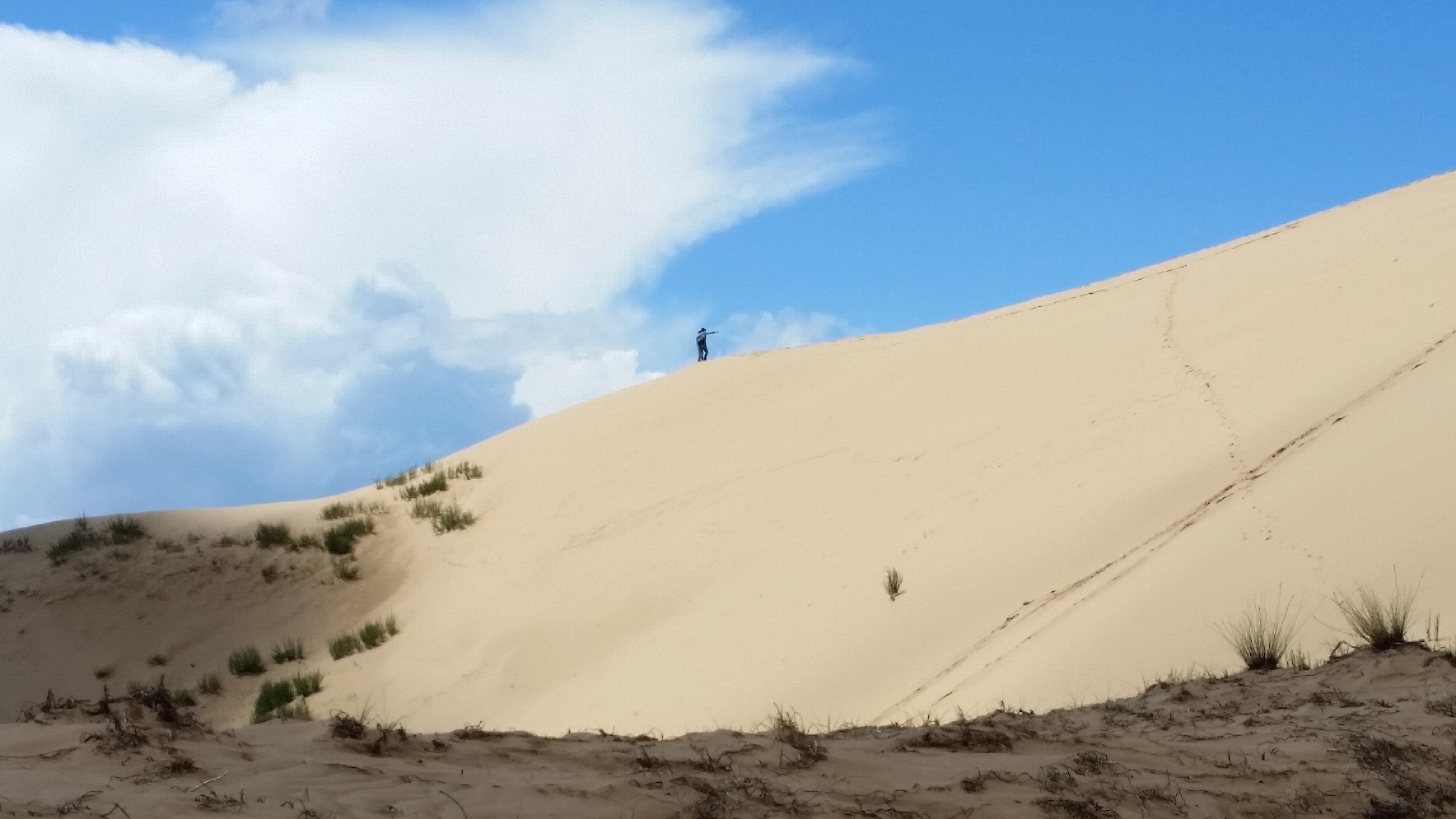 August 12: Golden Sands Bay desert (金沙湾沙漠།）, 3260 m altitude Август 12: Пустинята Залив Златни пясъци (金沙湾沙漠།）, 3260 м височина