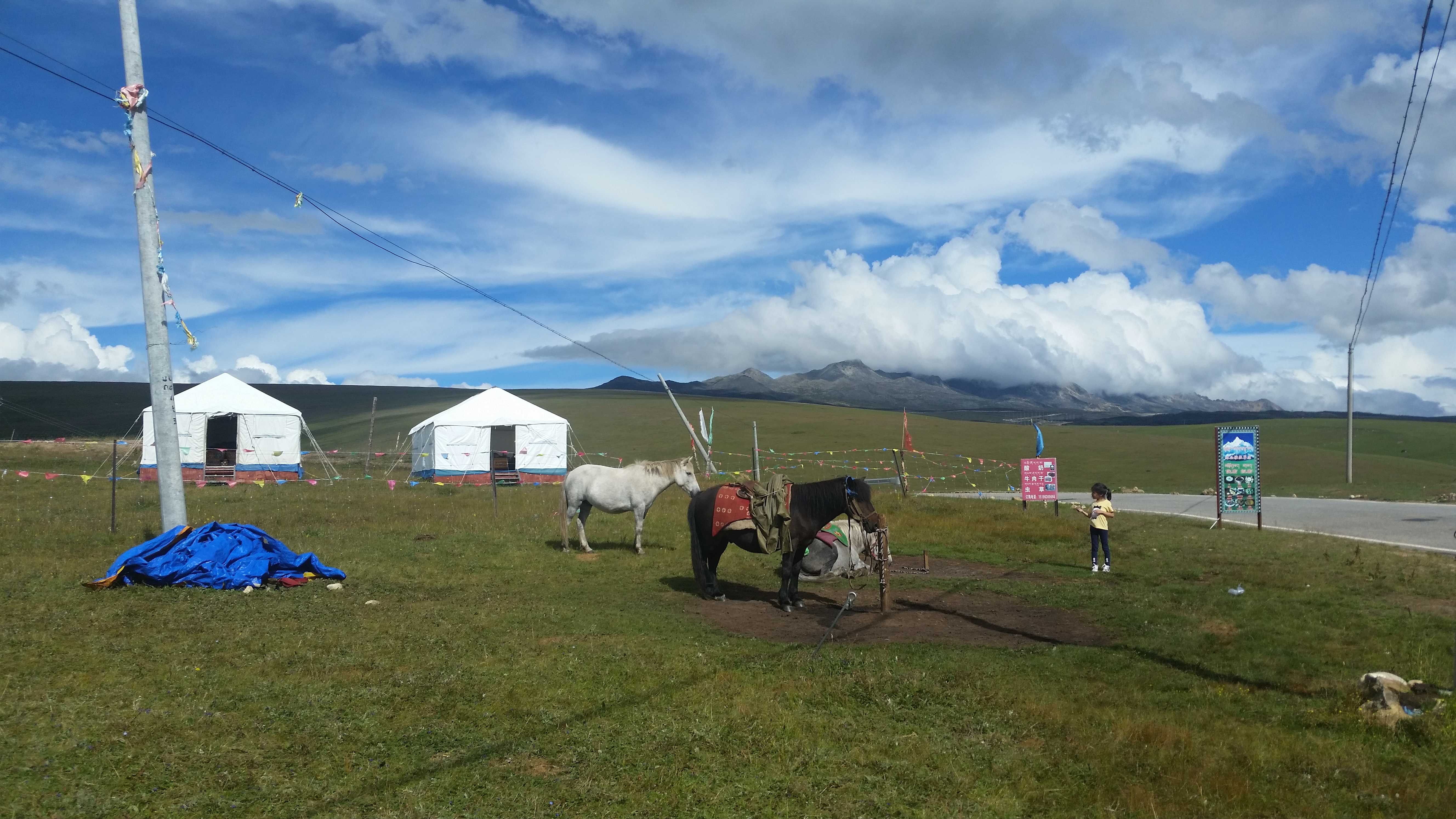 August 20: From Kangding (康定，དར་མདོ་གྲོང་ཁྱེར།）to Tagong (塔公，ྷ་སྒང་）, 3940 m altitude Август 20: От Кангдинг (康定，དར་མདོ་གྲོང་ཁྱེ