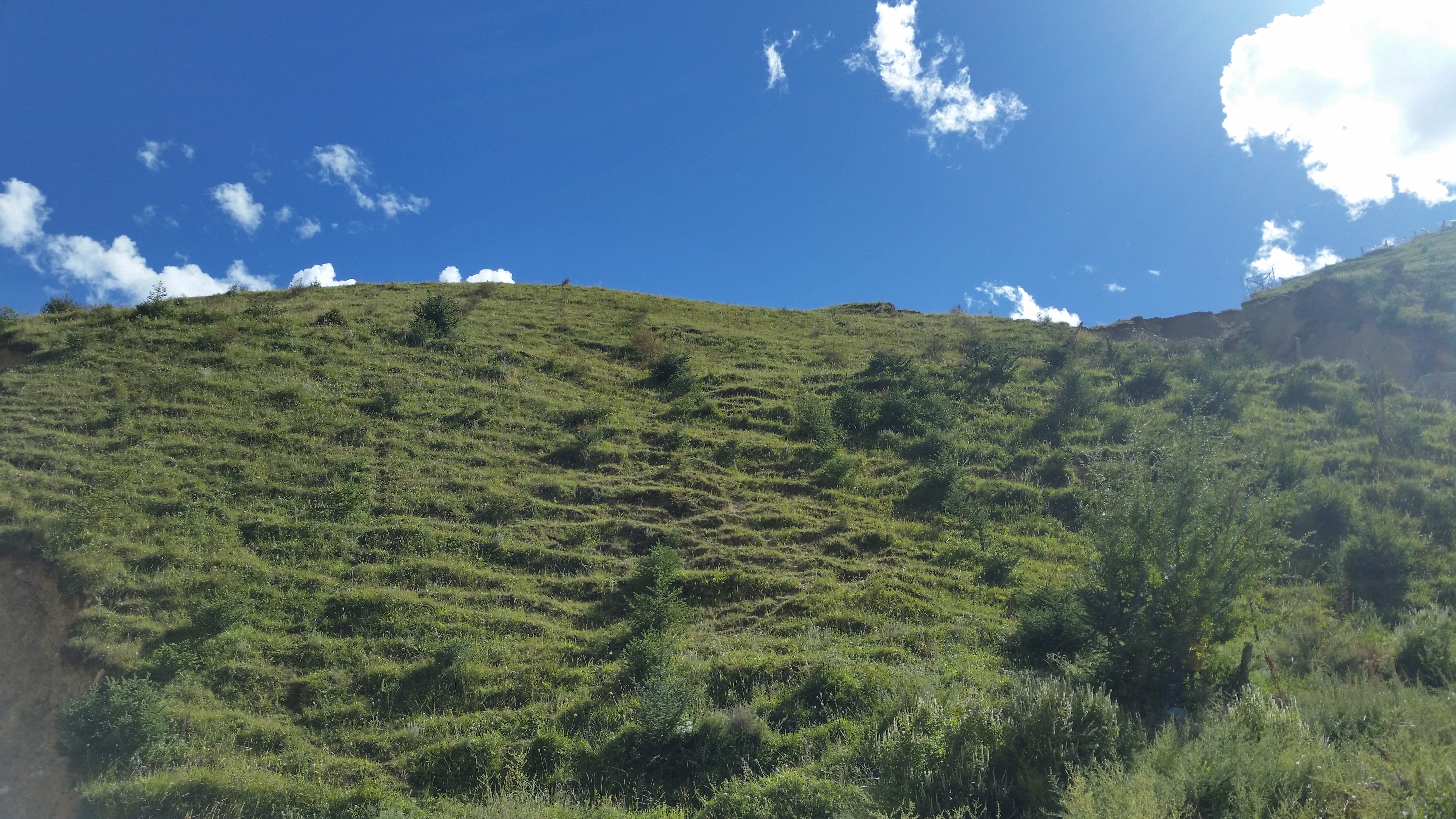 August 21: Drango (炉霍,བྲག་འགོ), 3180 m altitude, Shouling monastery Август 21: Дранго (炉霍,བྲག་འགོ), 3180 м височина, манастир Шо