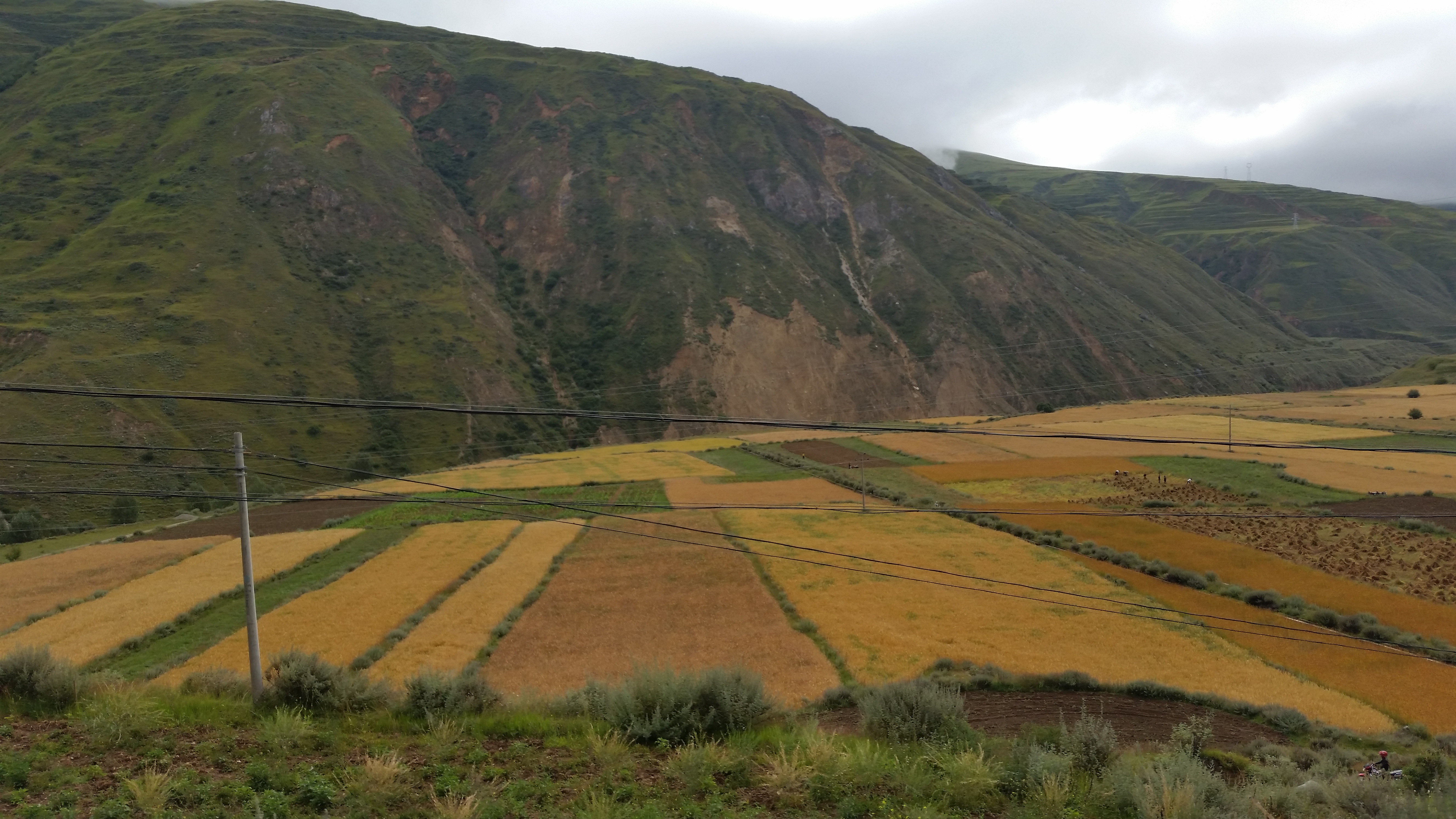 August 21: From Daofu (道孚，རྟའུ་རྫོང) to Drango (炉霍,བྲག་འགོ), 3110 m altitude Август 21: От Даофу (道孚，རྟའུ་རྫོང ) към Дранго (炉霍,