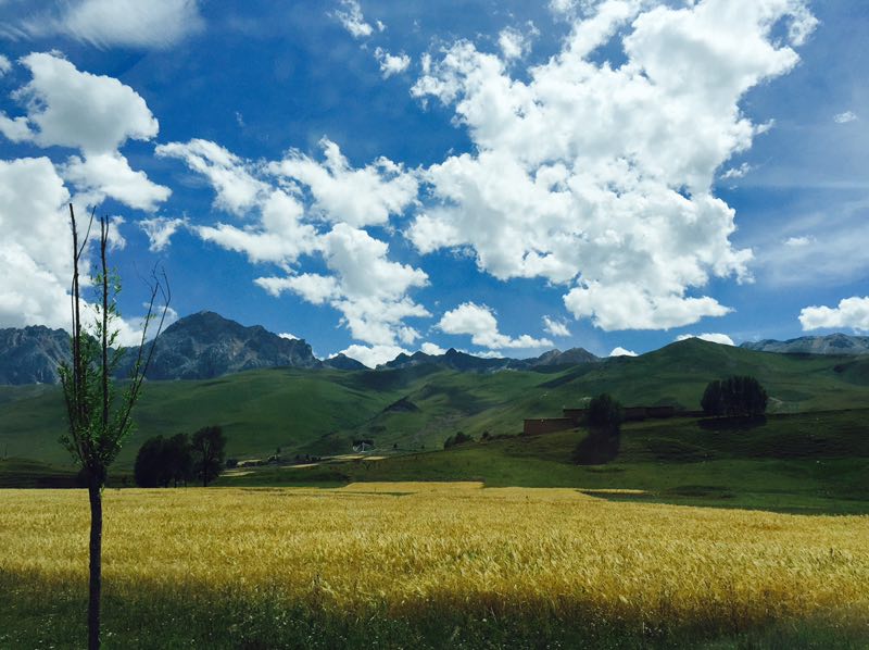 August 22: From Garze (甘孜，དཀར་མཛེས་) to Manigango (马尼干戈) , 3520 m altitude Август 22: От Гардзъ (甘孜，དཀར་མཛེས་) към Маниганго (马尼