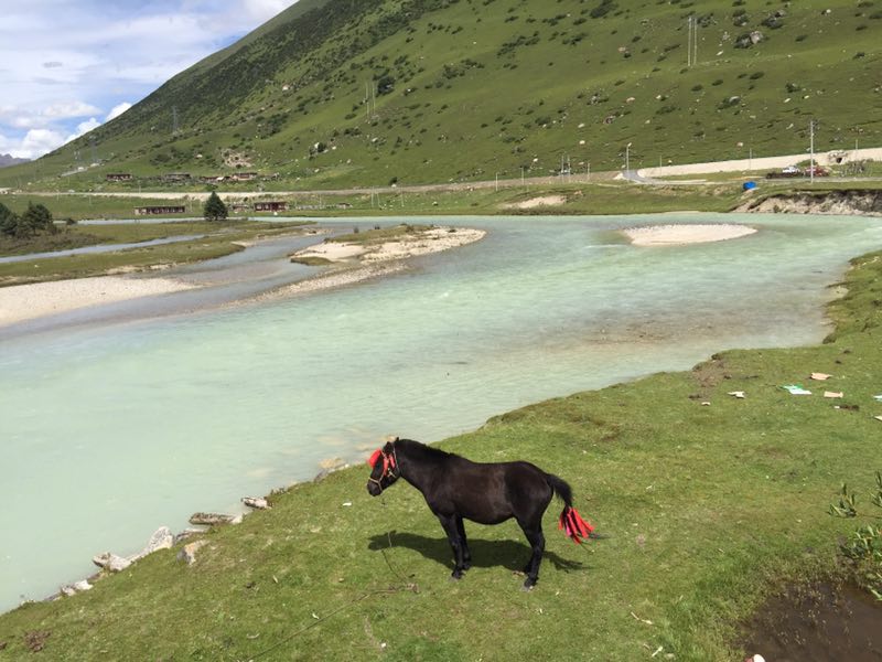 August 23: Yilhun Lha Tso (玉隆拉措，ཡི་ལྷུན་ལྷ་མཚོ་མ) , 4020 m altitude Август 23: Илхун Ла Цо (玉隆拉措，ཡི་ལྷུན་ལྷ་མཚོ་མ) , 4020 м висо