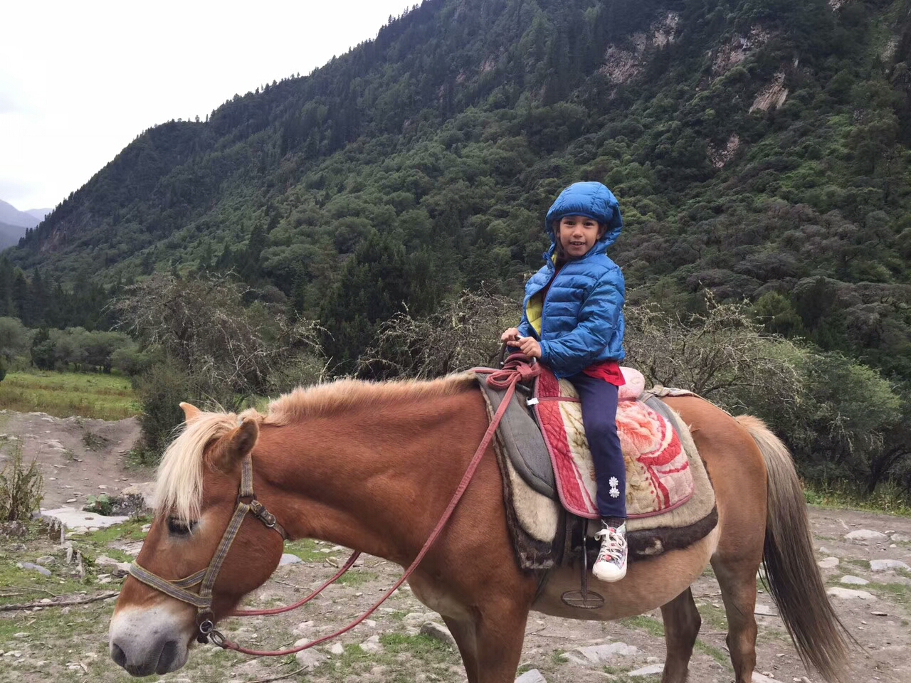 August 25: Mt. Four Sisters (Siguniang, 四姑娘山）, Changping valley (长坪沟）3400 to 3800 m altitude Август 25: Планината Четирите сестр