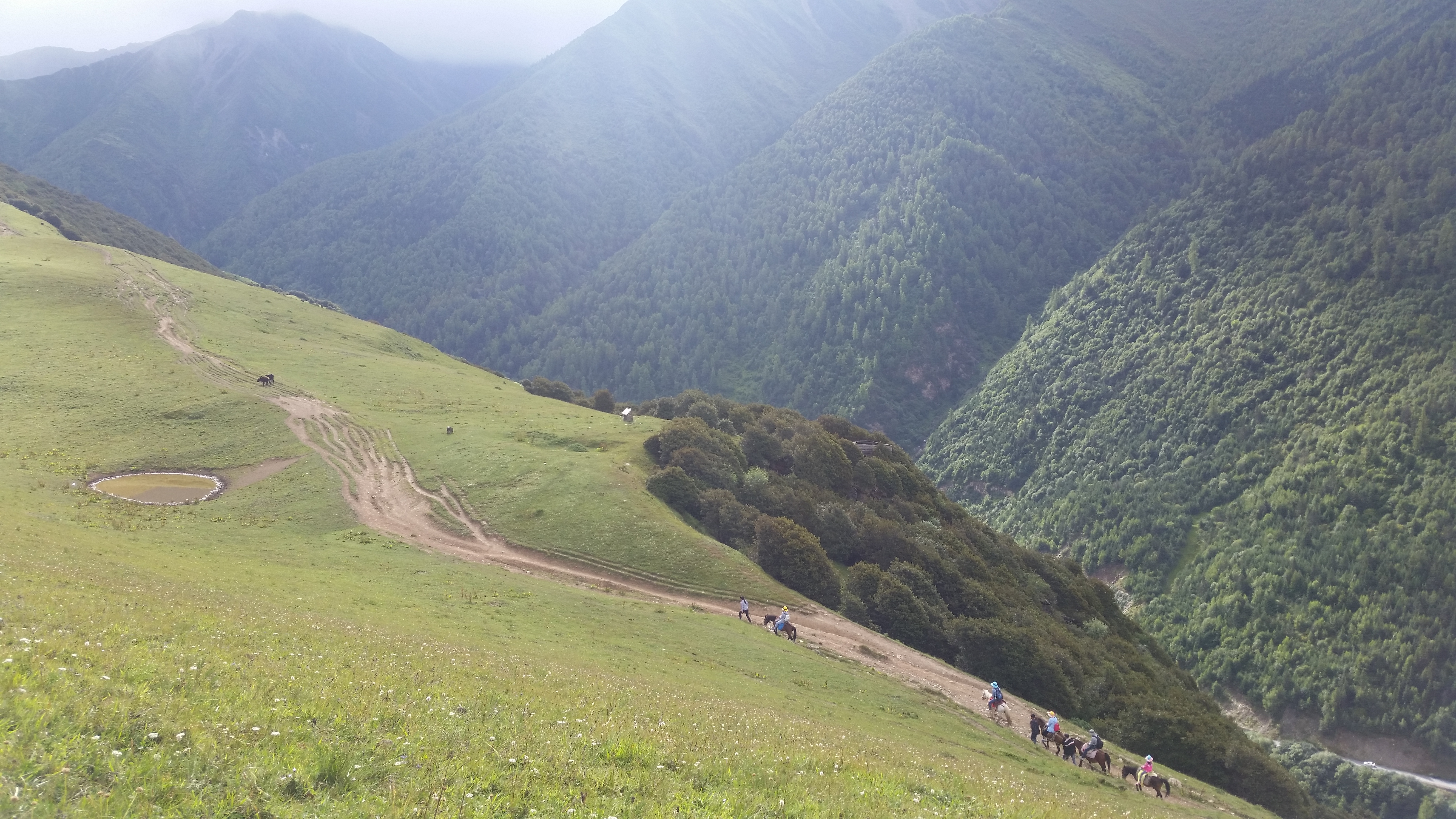 August 25: Mt. Four Sisters (Siguniang, 四姑娘山）, 3470 m altitude, the horse path Август 25: Планината Четирите сестри (Siguniang,