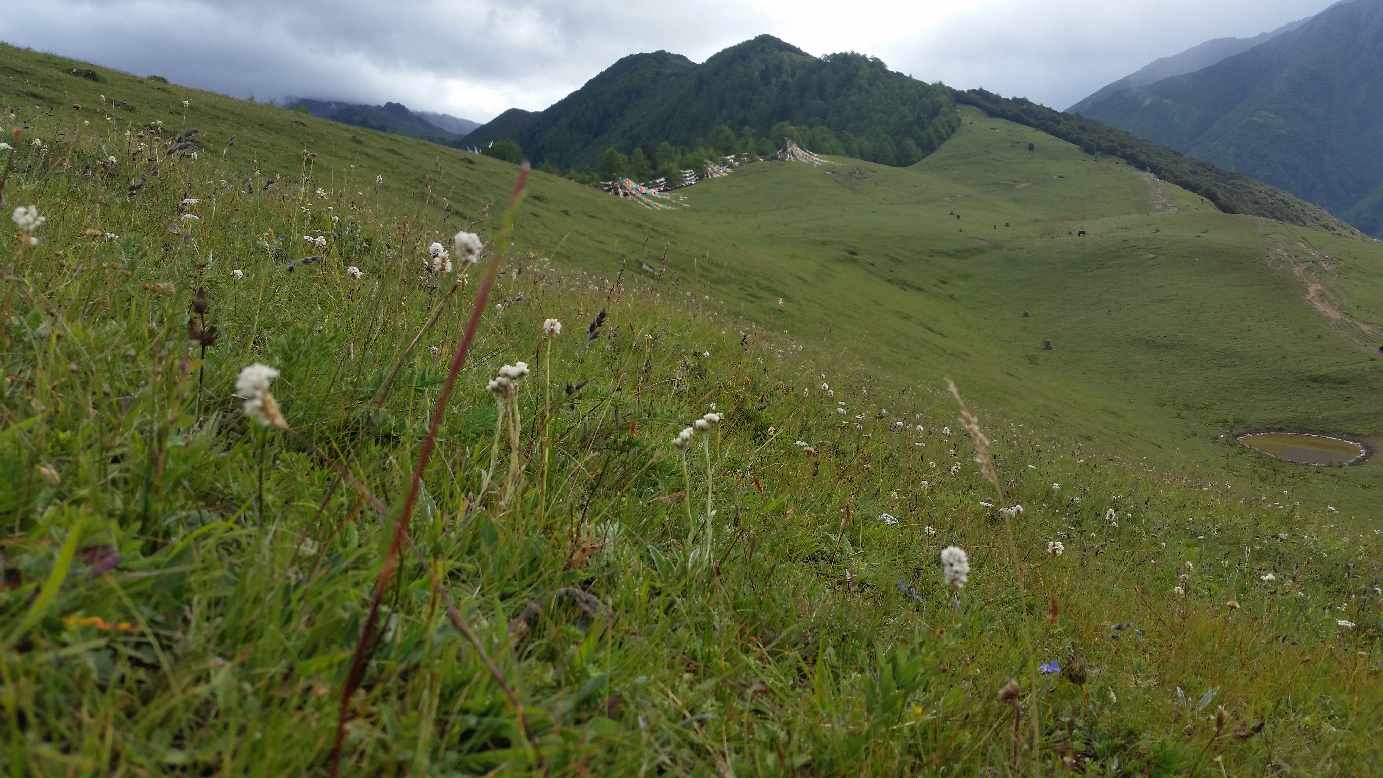 August 25: Mt. Four Sisters (Siguniang, 四姑娘山）, 3530 m altitude, on the summit Август 25: Планината Четирите сестри (Siguniang, 四