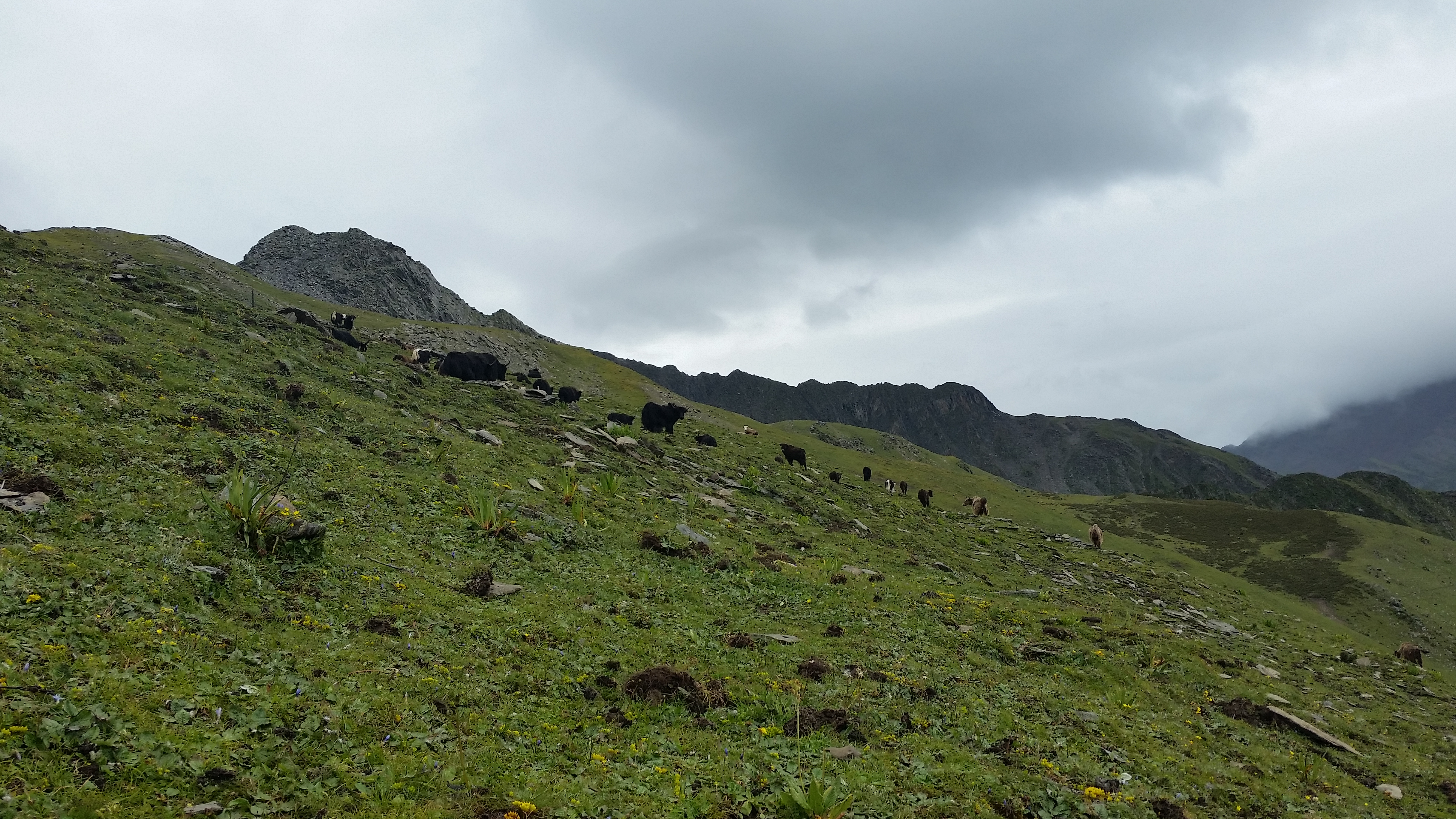 August 25: Mt. Four Sisters (Siguniang, 四姑娘山）, 4180 m altitude, on the summit Август 25: Планината Четирите сестри (Siguniang, 四