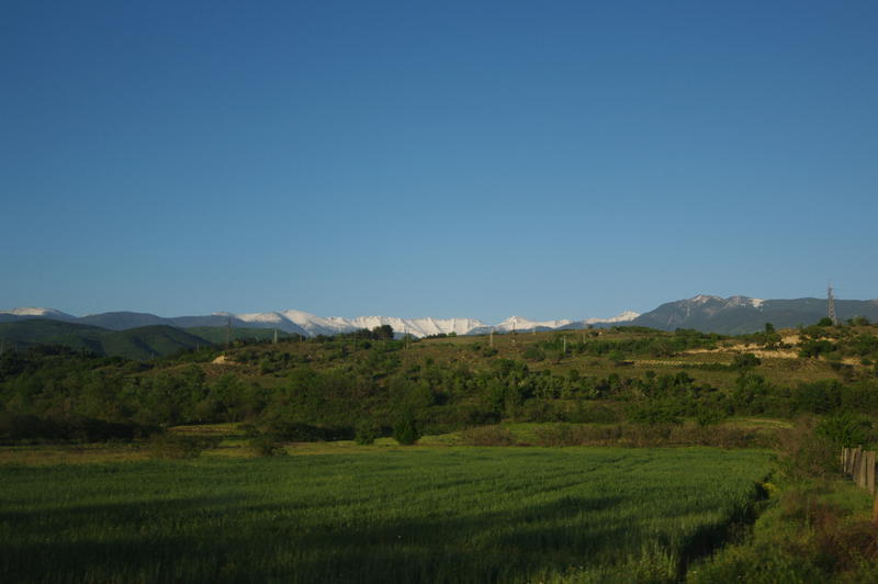 IMGP4475