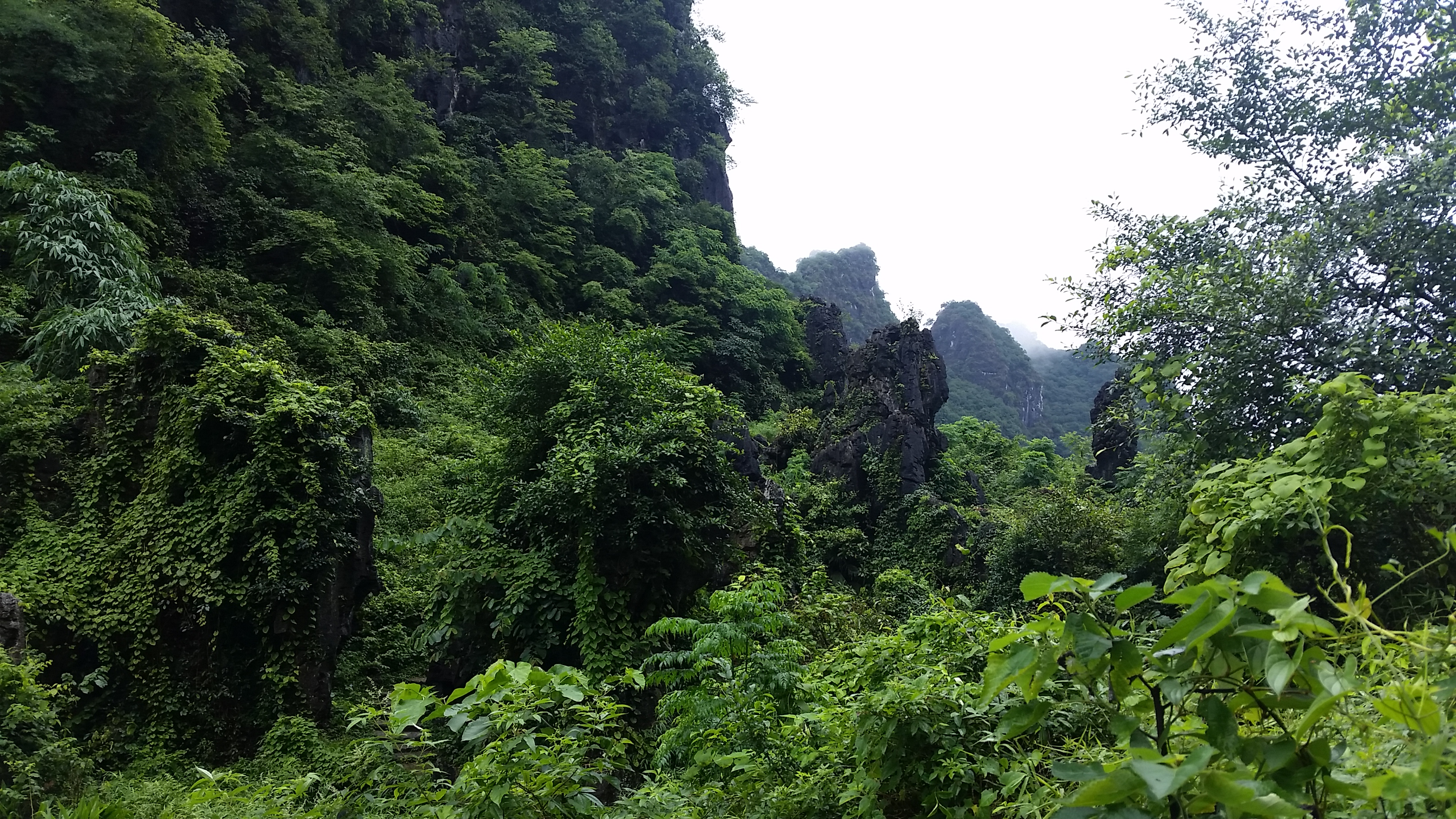 Yingxi- in Guanyin cave area
Ингси- в района на пещерата Гуанин