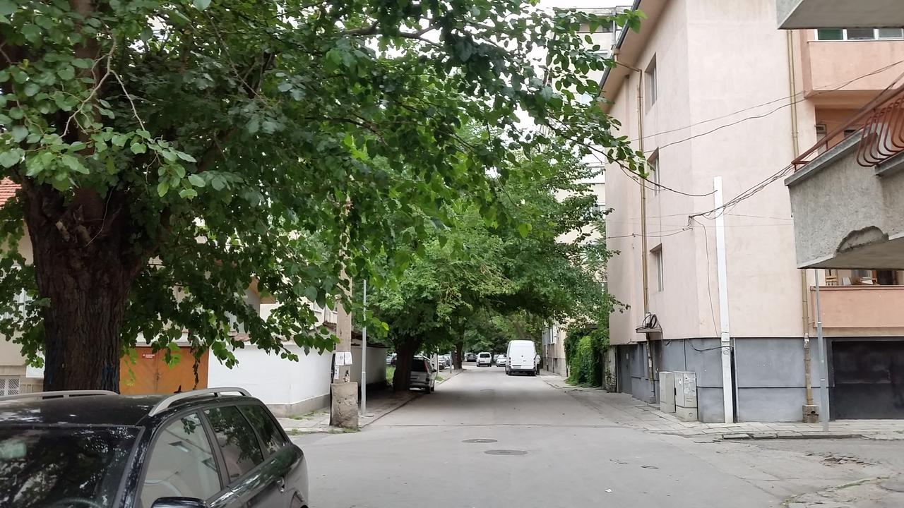 First days in Plovdiv
Първи дни в Пловдив