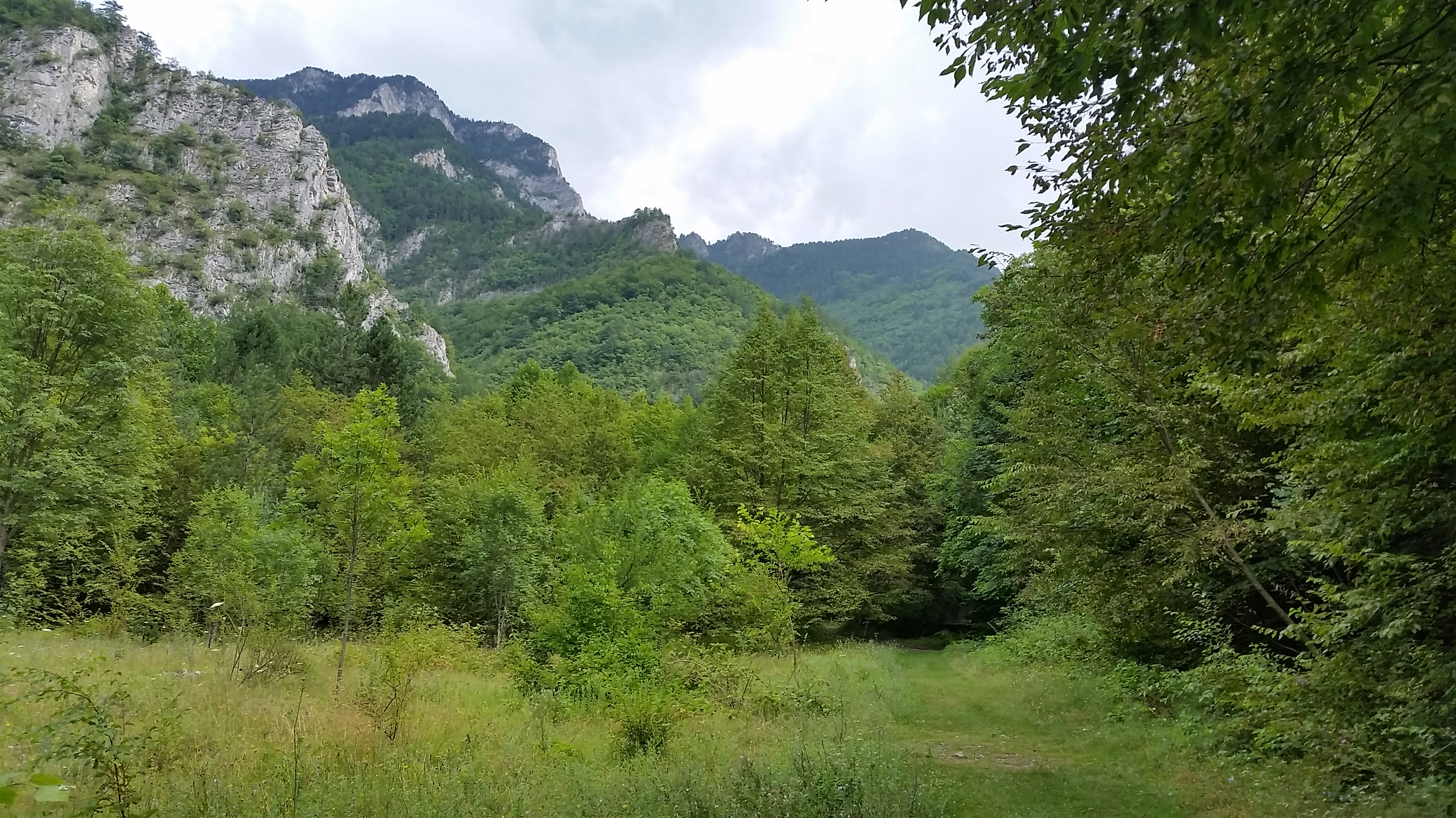 Bachkovo monastery
Бачковския манастир