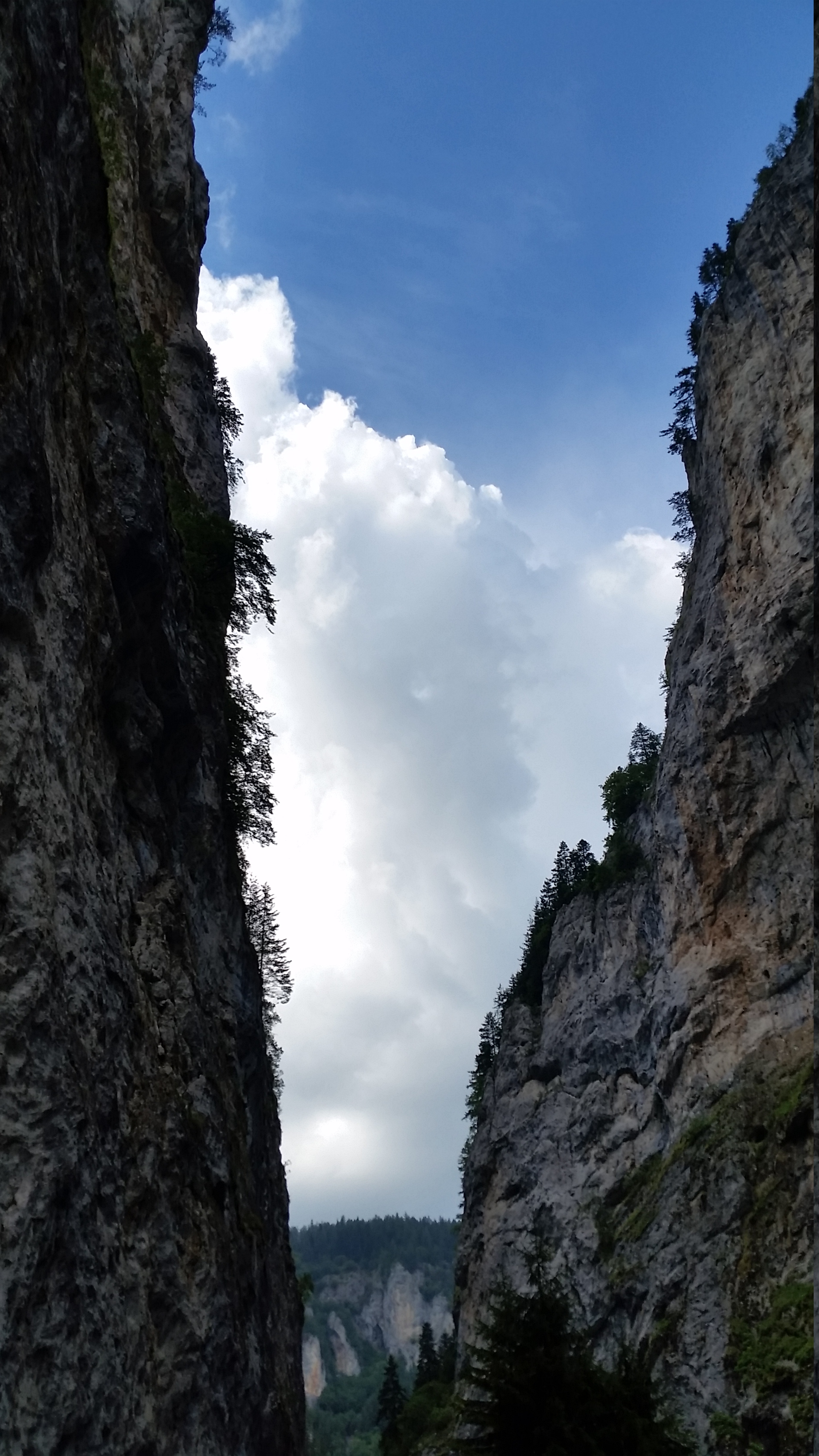 Trigrad gorge and Devil's throat
Триградското ждрело и Дяволкото гърло