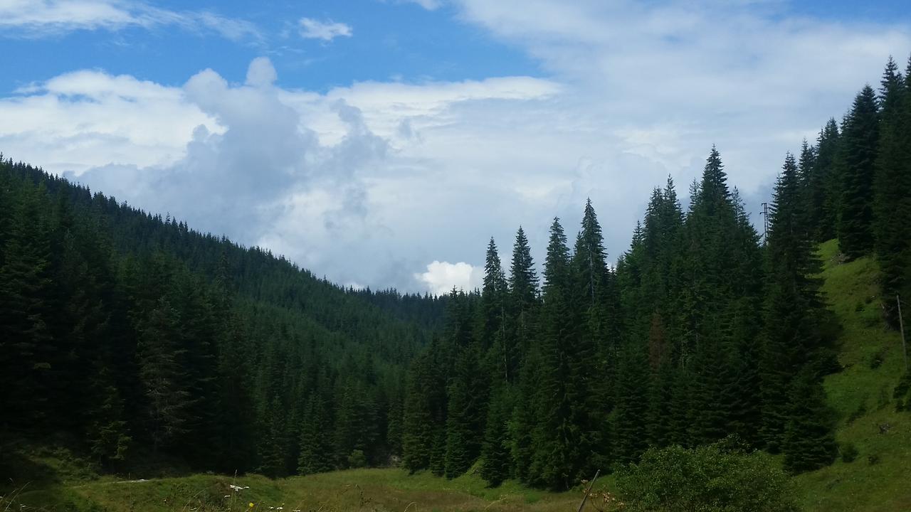 From Trigrad to Vodni pad and back
От Триград до Водни пад и обратно