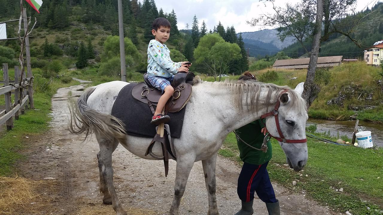 From Trigrad to Vodni pad and back
От Триград до Водни пад и обратно