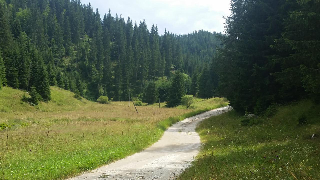 From Trigrad to Vodni pad and back
От Триград до Водни пад и обратно