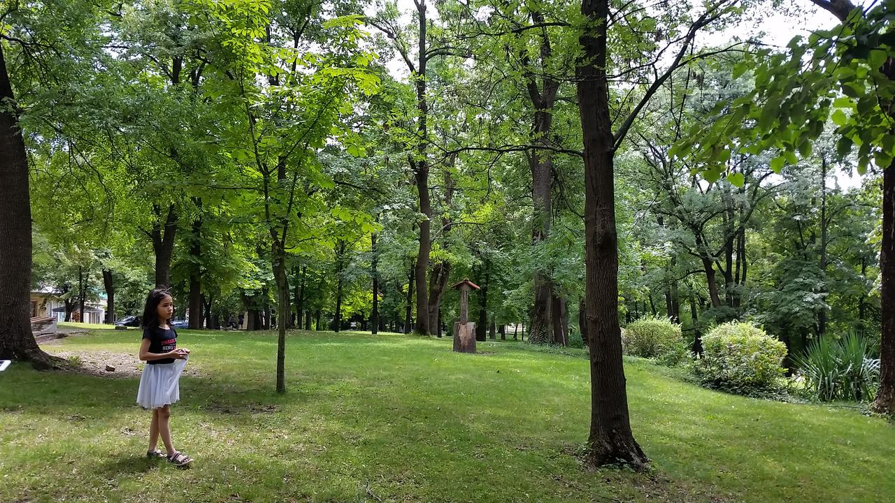 Hisarya- the Central park
Хисаря- Централния парк