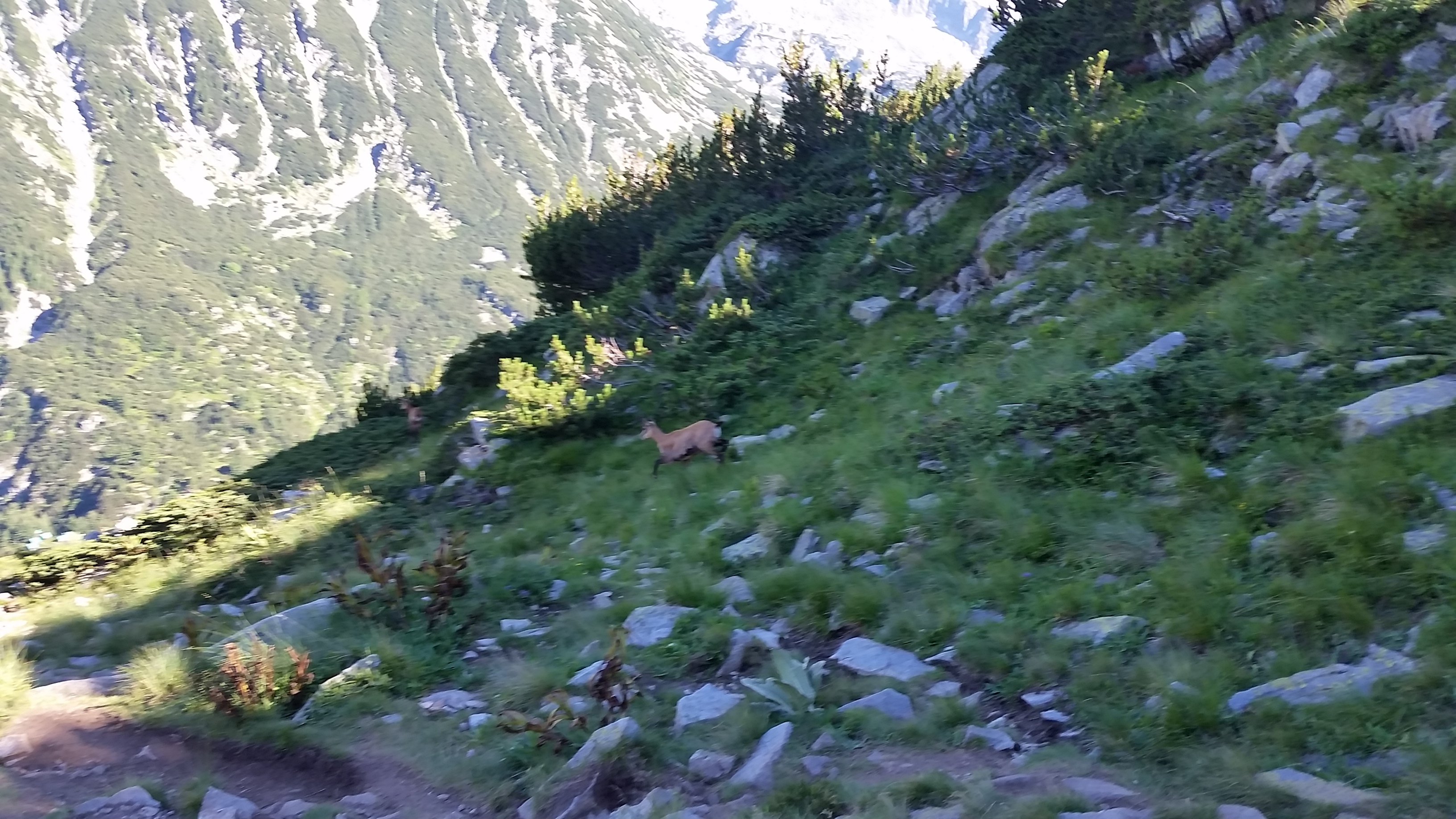 Pirin- the trekking to Vihren peak
Пирин- трекинга до връх Вихрен