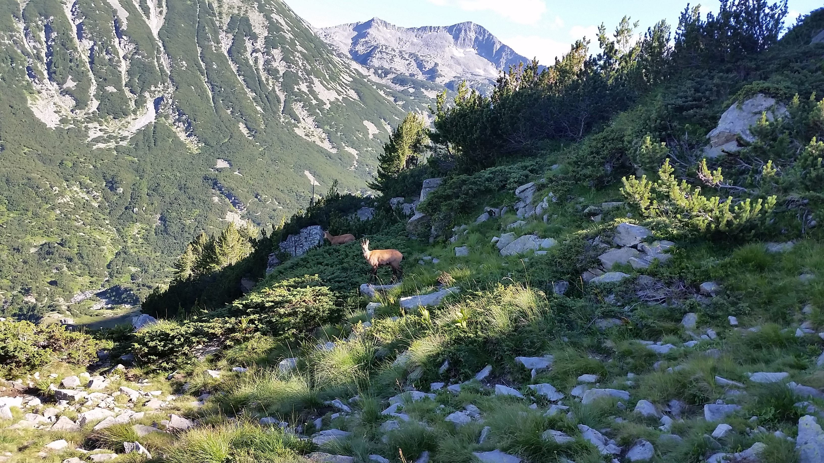 Pirin- the trekking to Vihren peak
Пирин- трекинга до връх Вихрен