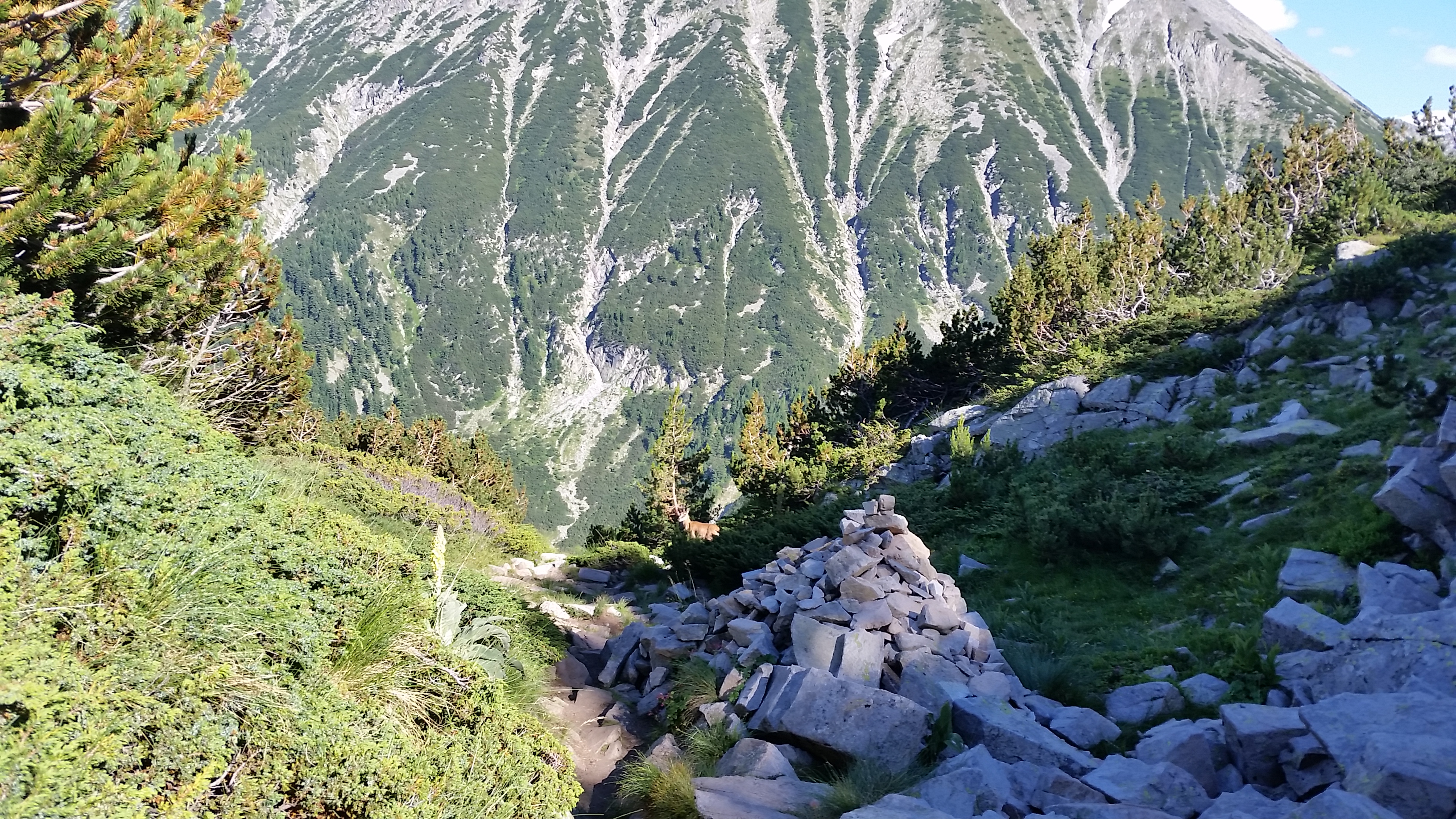 Pirin- the trekking to Vihren peak
Пирин- трекинга до връх Вихрен