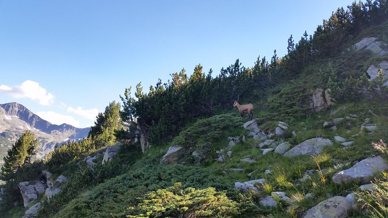 Pirin- the trekking to Vihren peak
Пирин- трекинга до връх Вихрен