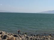 Capernaum's lake shore
Брега на езерото край Капернаум