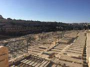 Jerusalem- first views, from Mount of Olives
Йерусалим- първи гледки, от Елеонския хълм