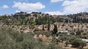 Jerusalem- from East (Lion) gate to Gethsemane and Mount of Olives
Йерусалем- от Източната (Лъвова) порта към Гетсимания и Елео