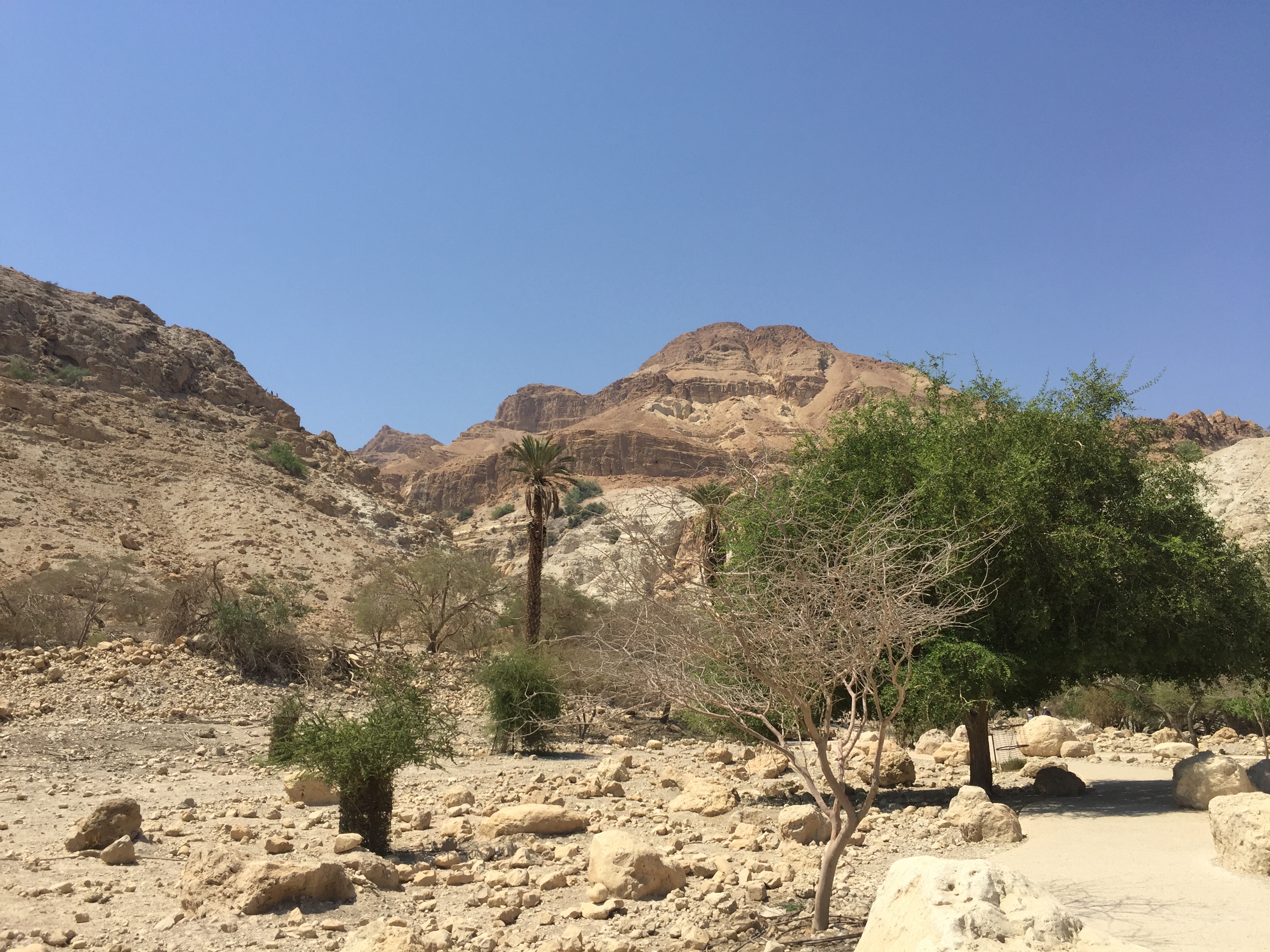 Ein Gedi
Ейн Геди