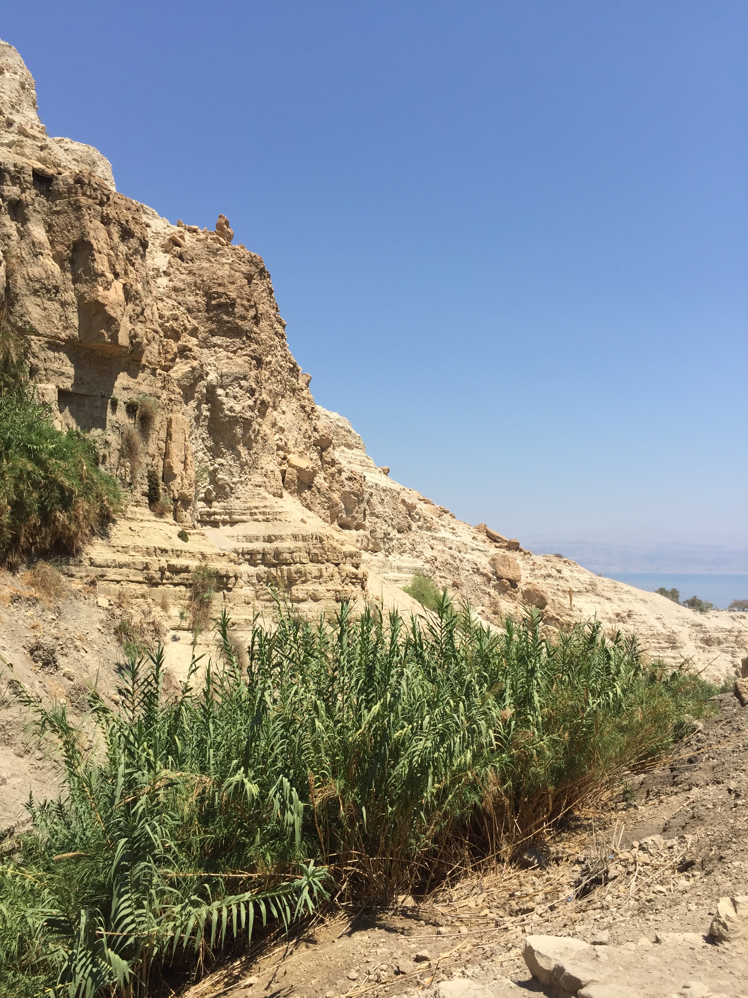 Ein Gedi
Ейн Геди