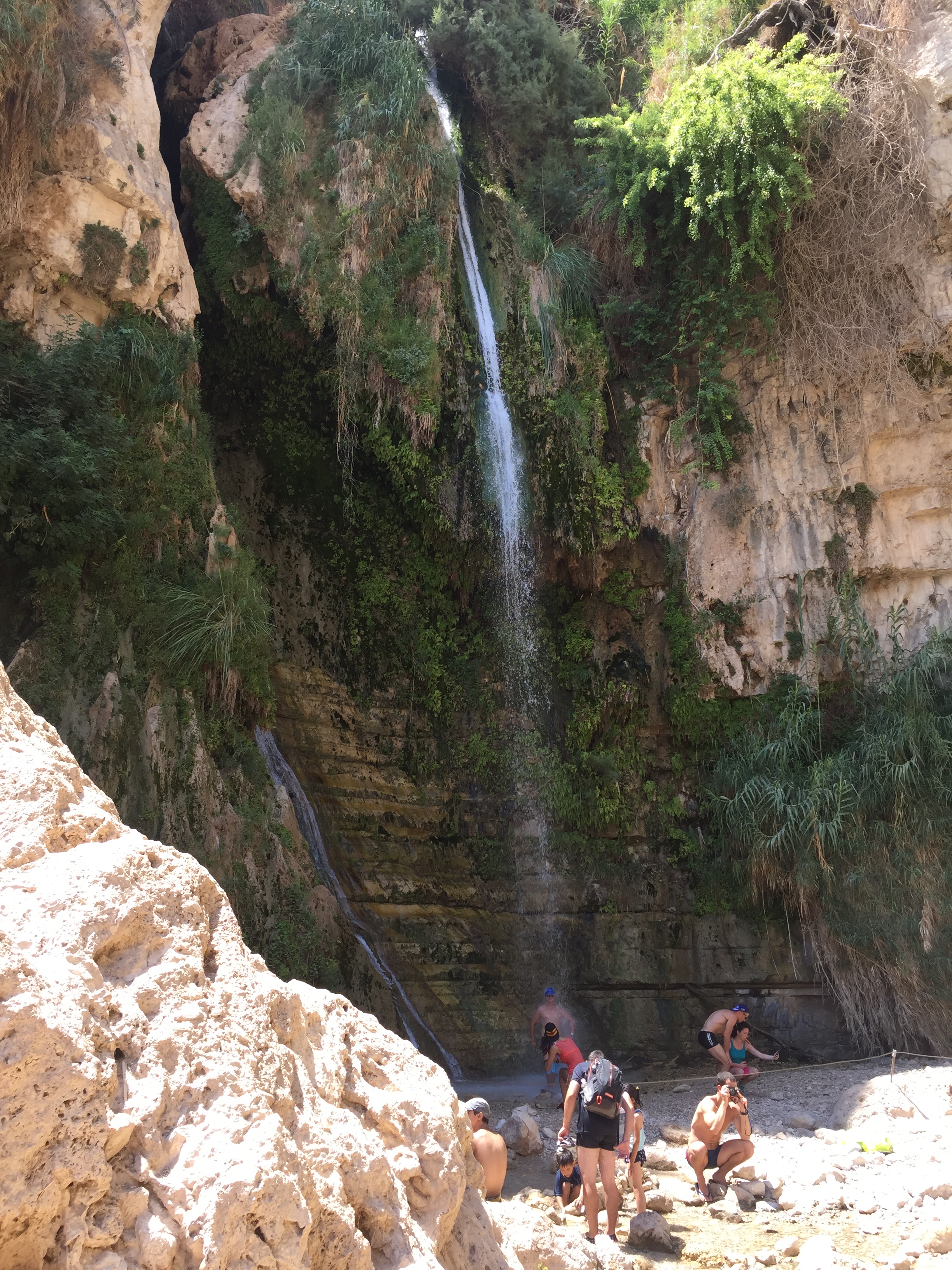 Ein Gedi
Ейн Геди