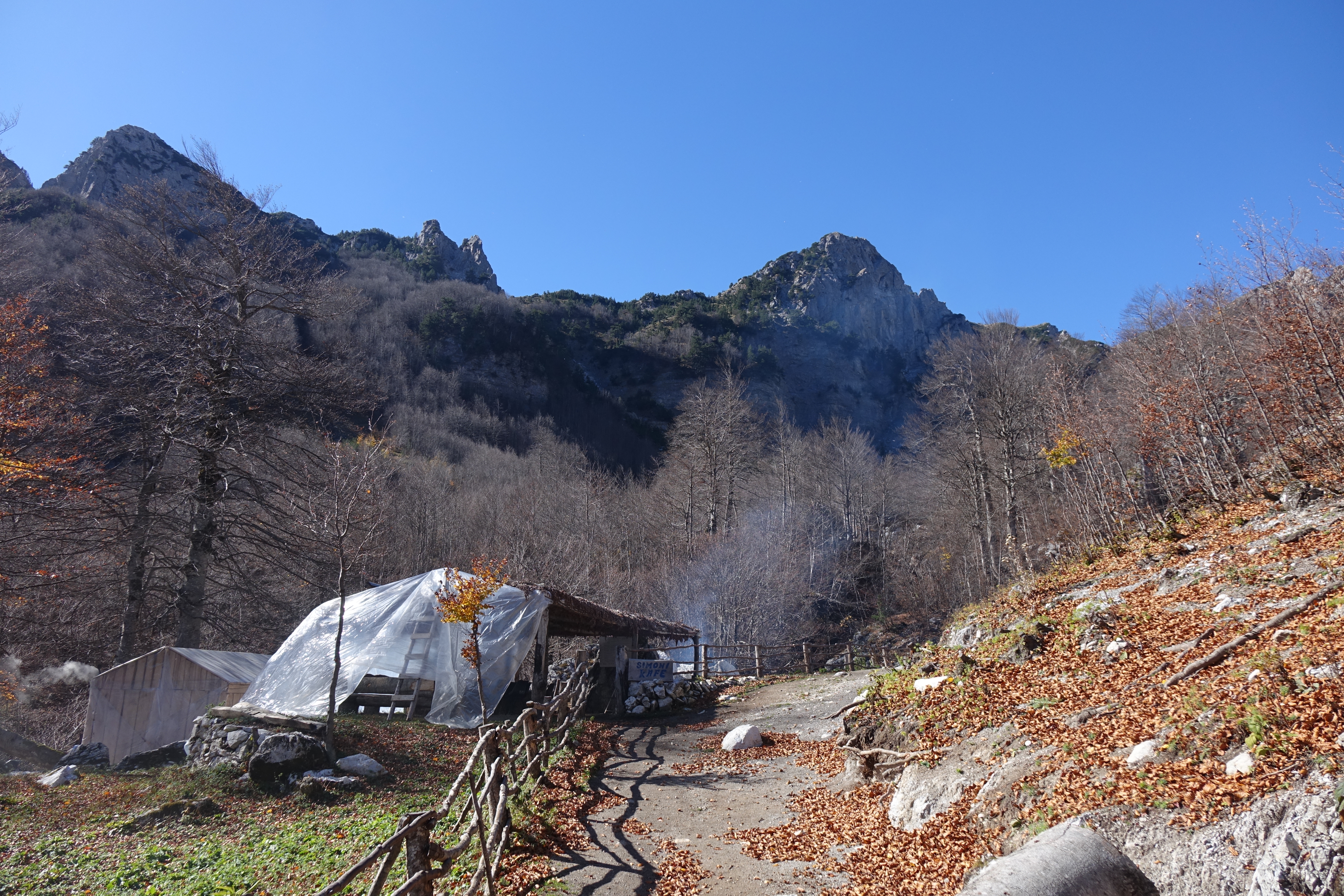 DSC01012