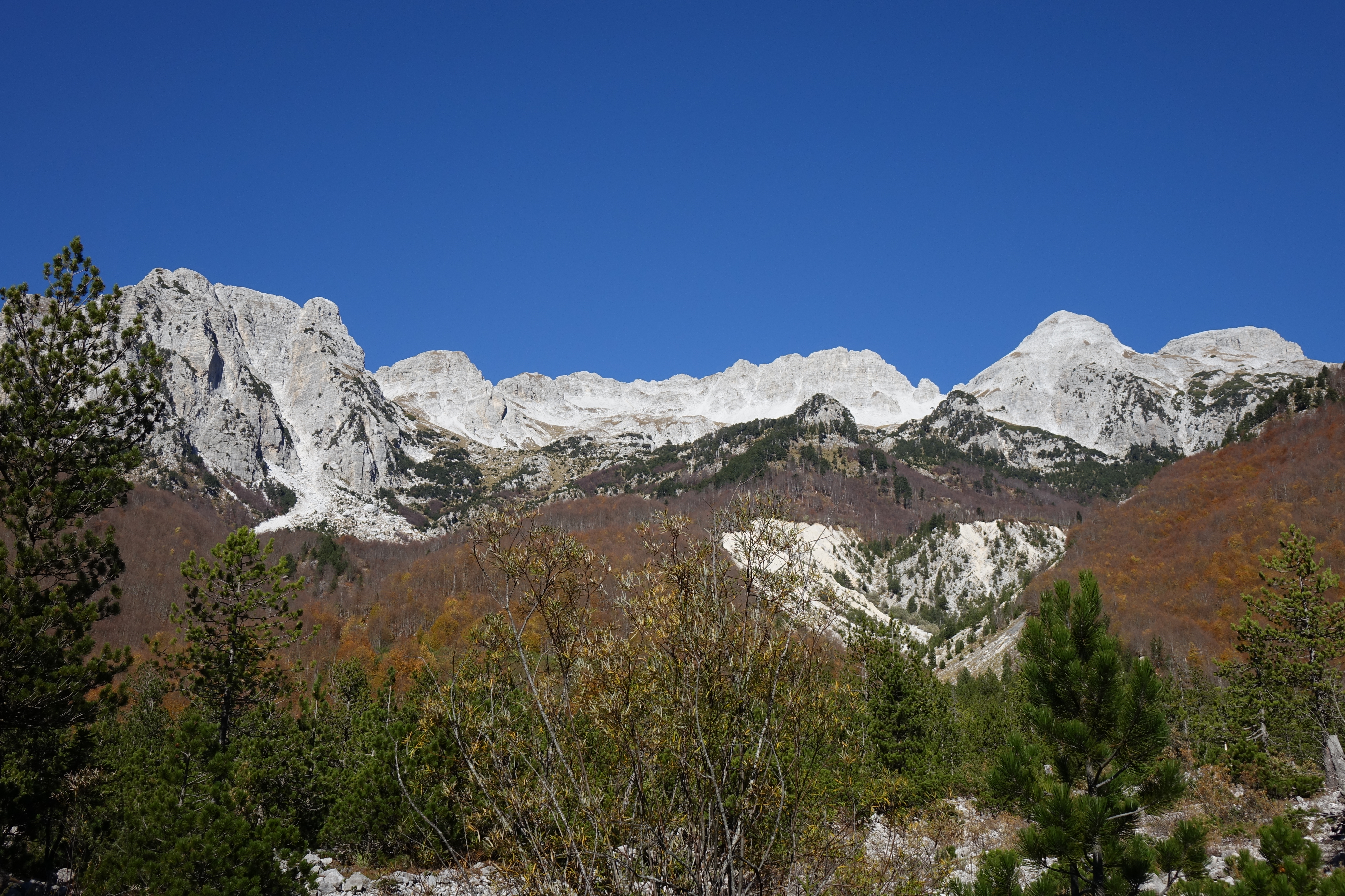 DSC00968