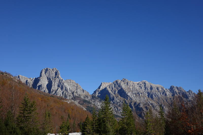 DSC00922