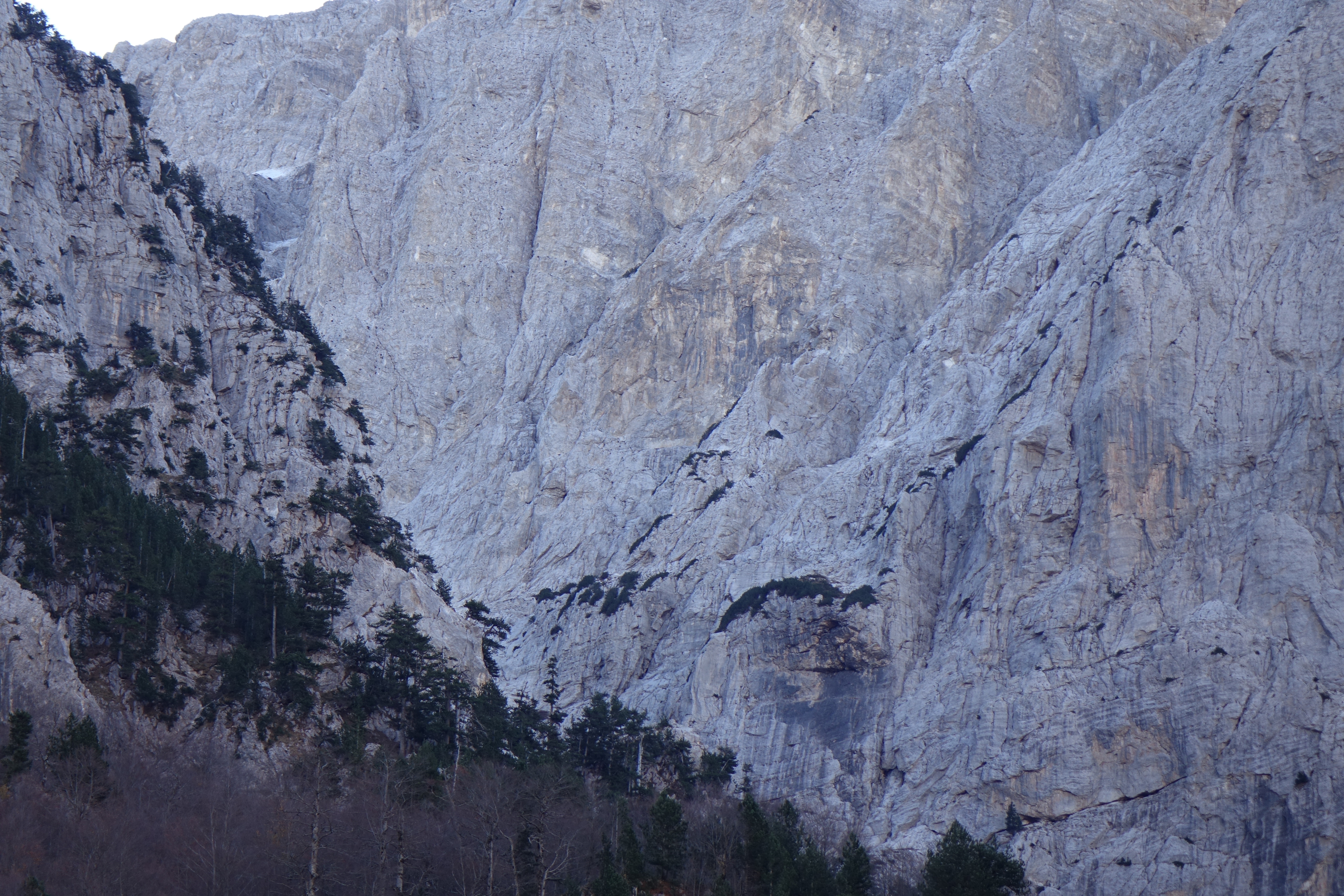 DSC00951