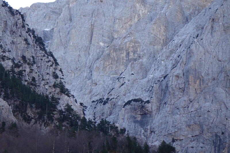 DSC00951