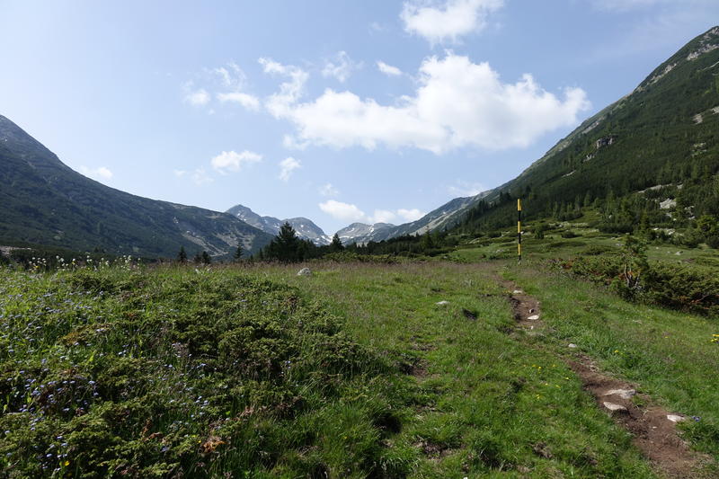 DSC03853