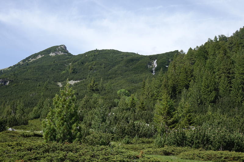 DSC03855