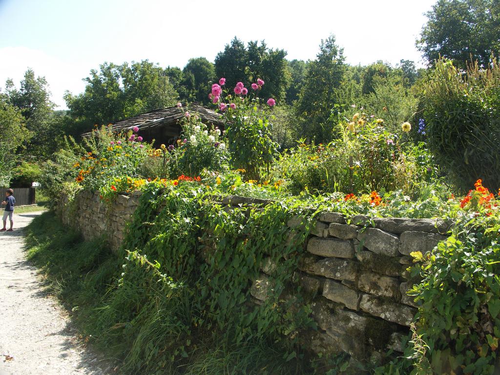 PICT0017