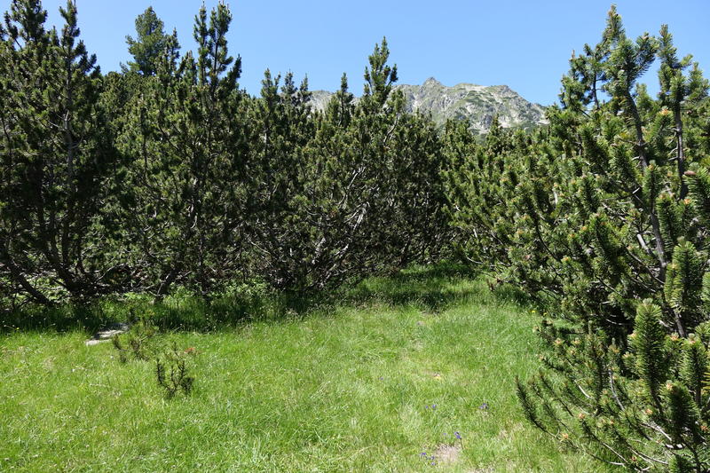 DSC04158