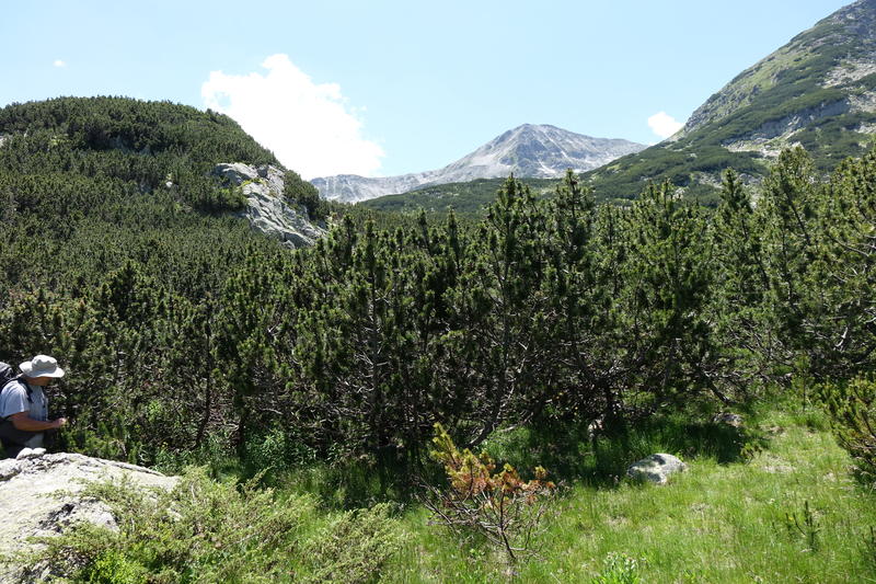 DSC04170
