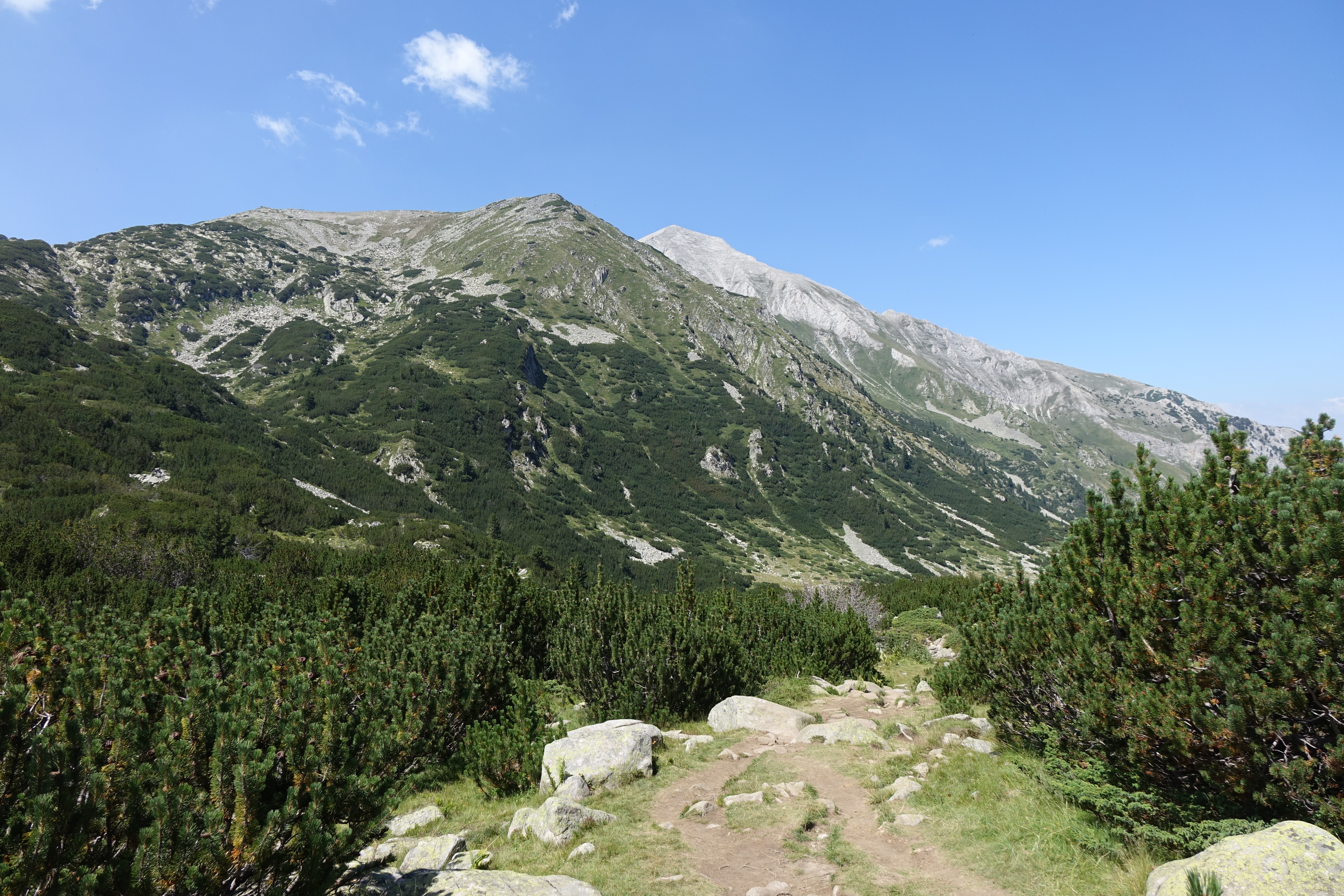 DSC04373