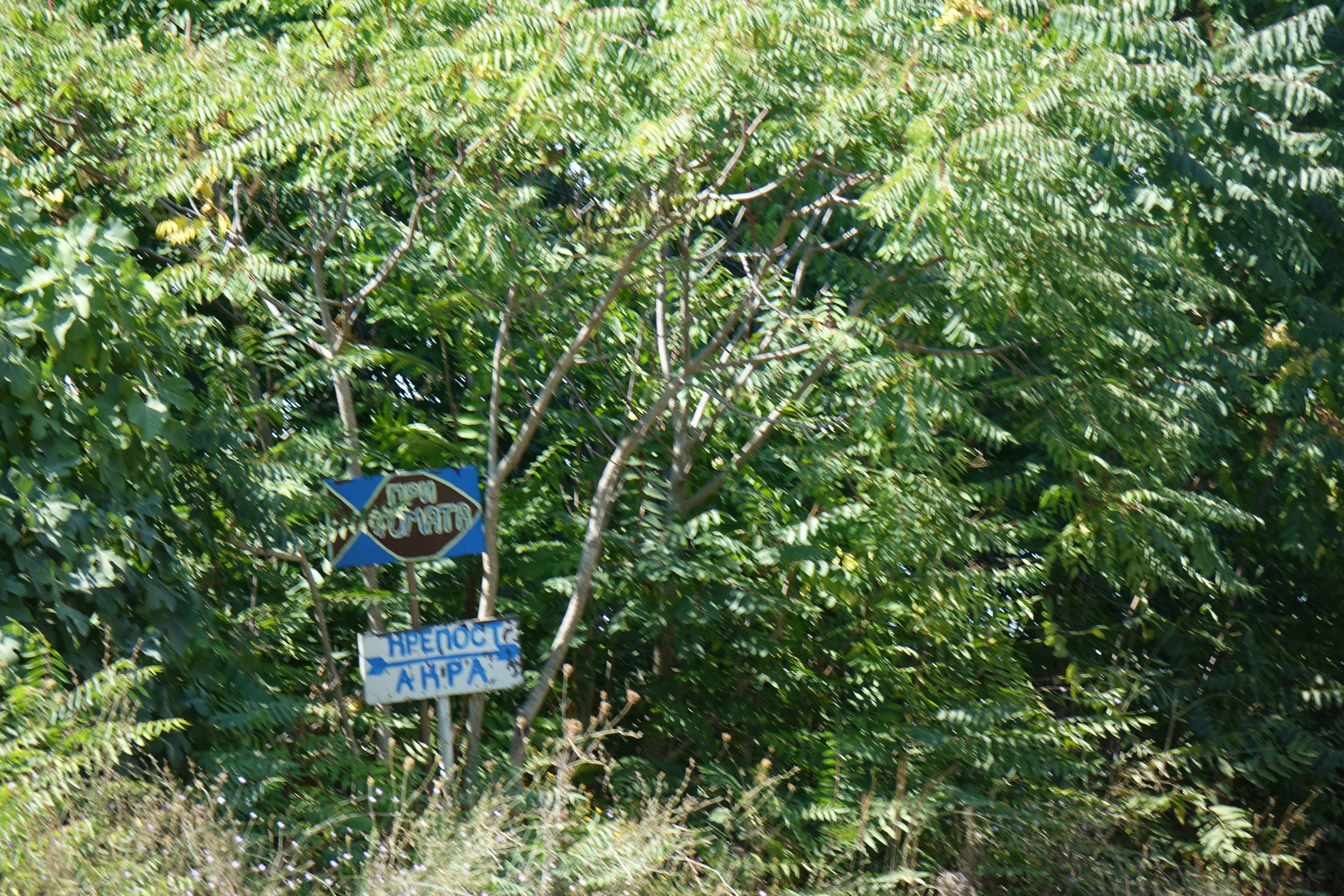 DSC04537