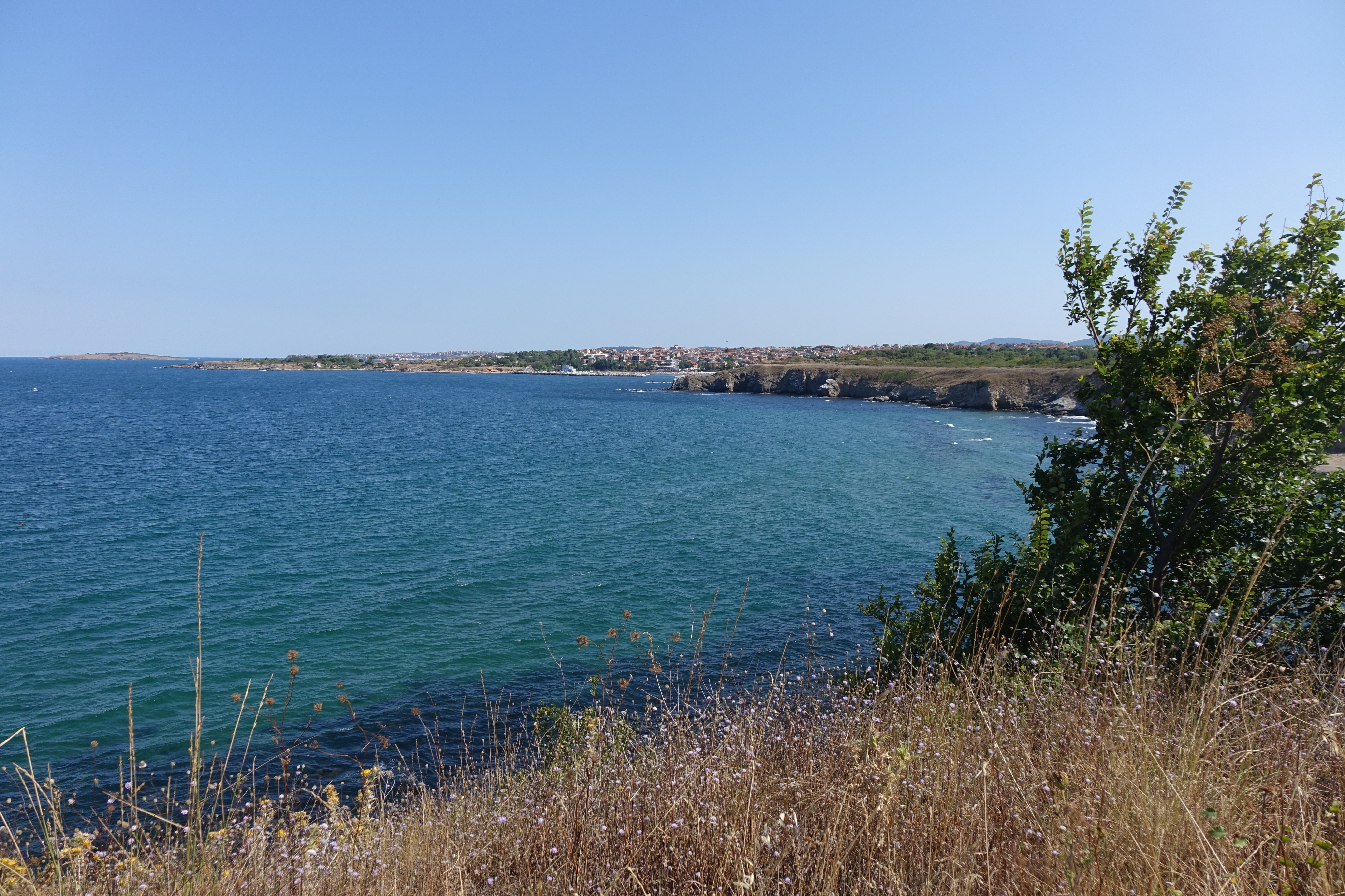 DSC04593
