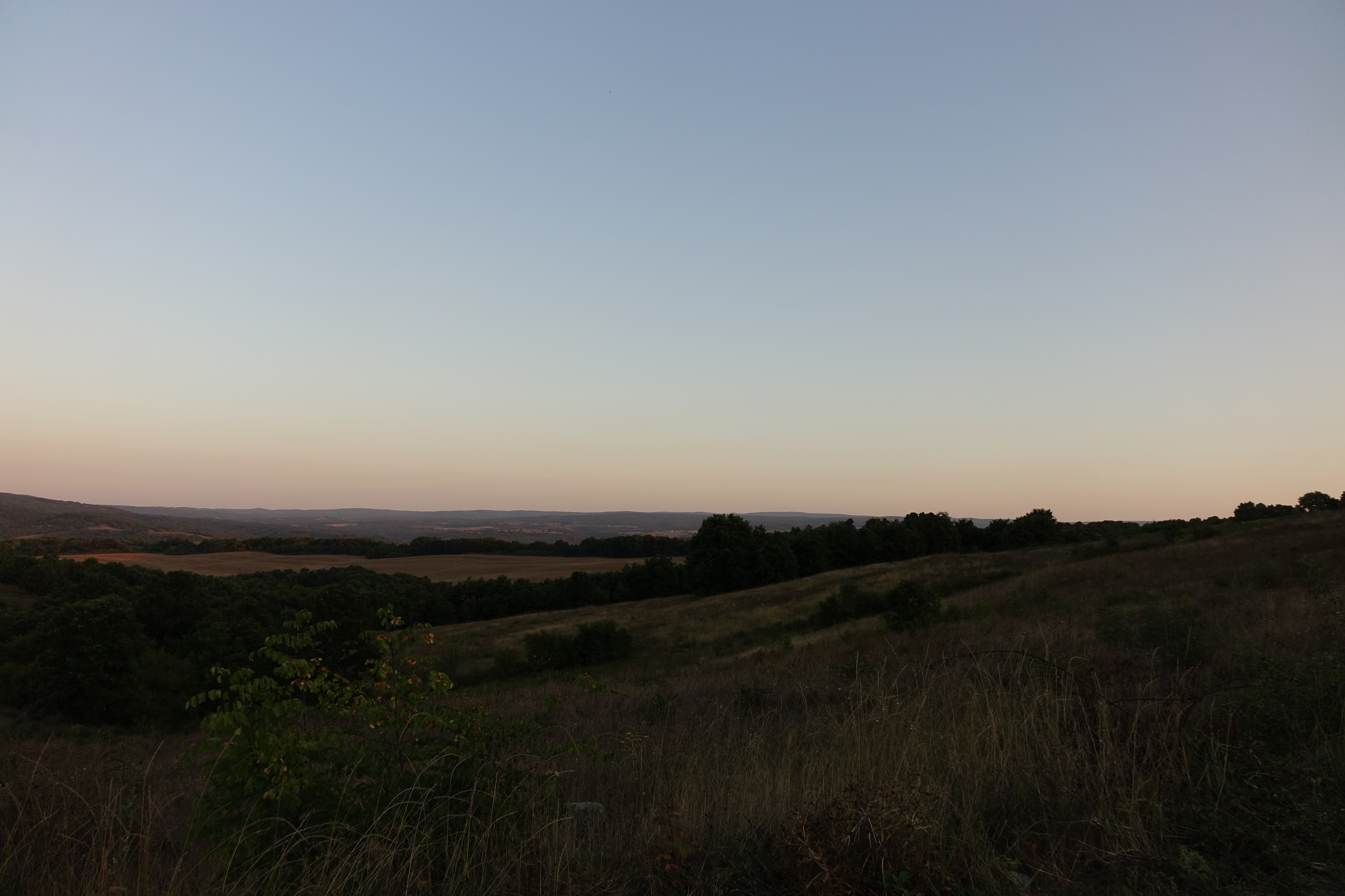 DSC04810