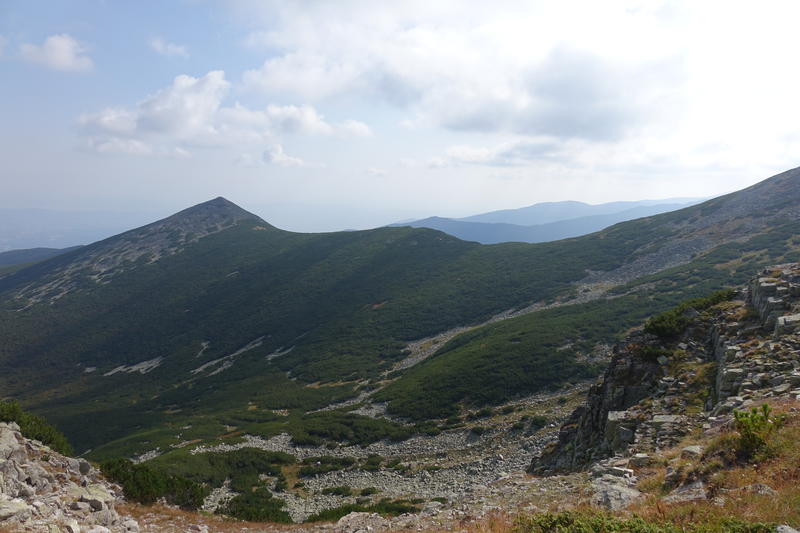 DSC04916
