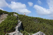 DSC04921