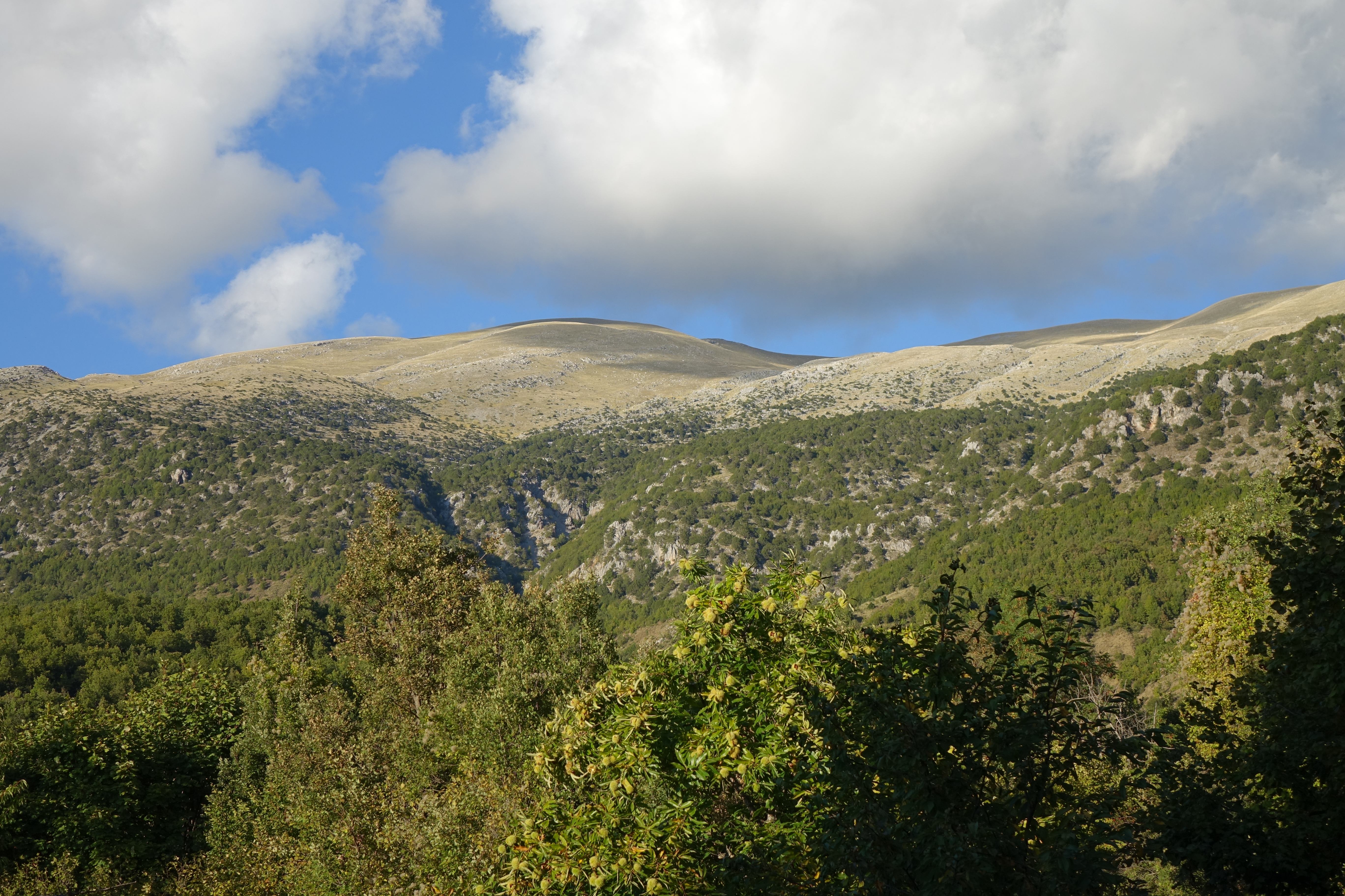 DSC05127