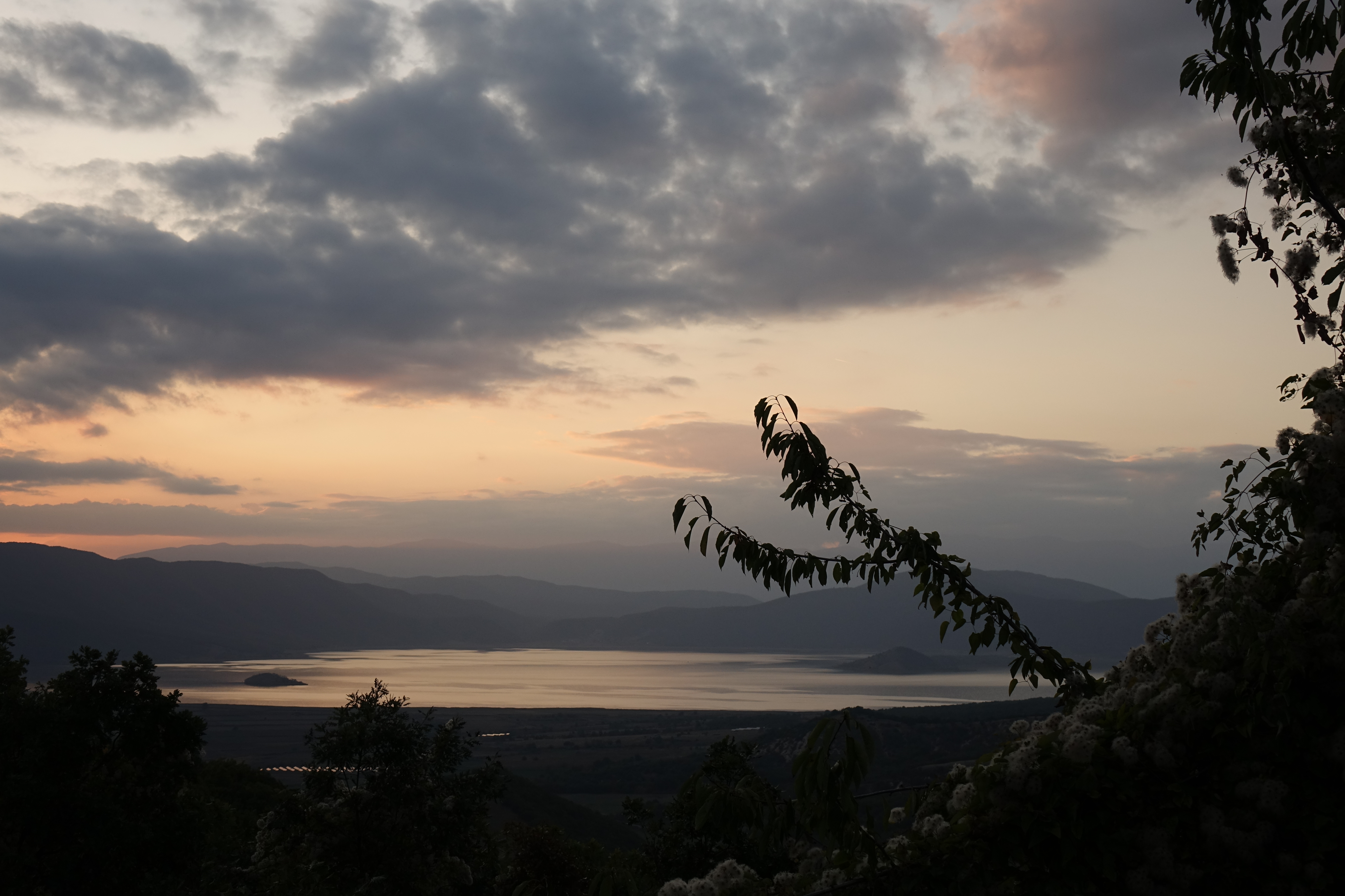 DSC05709