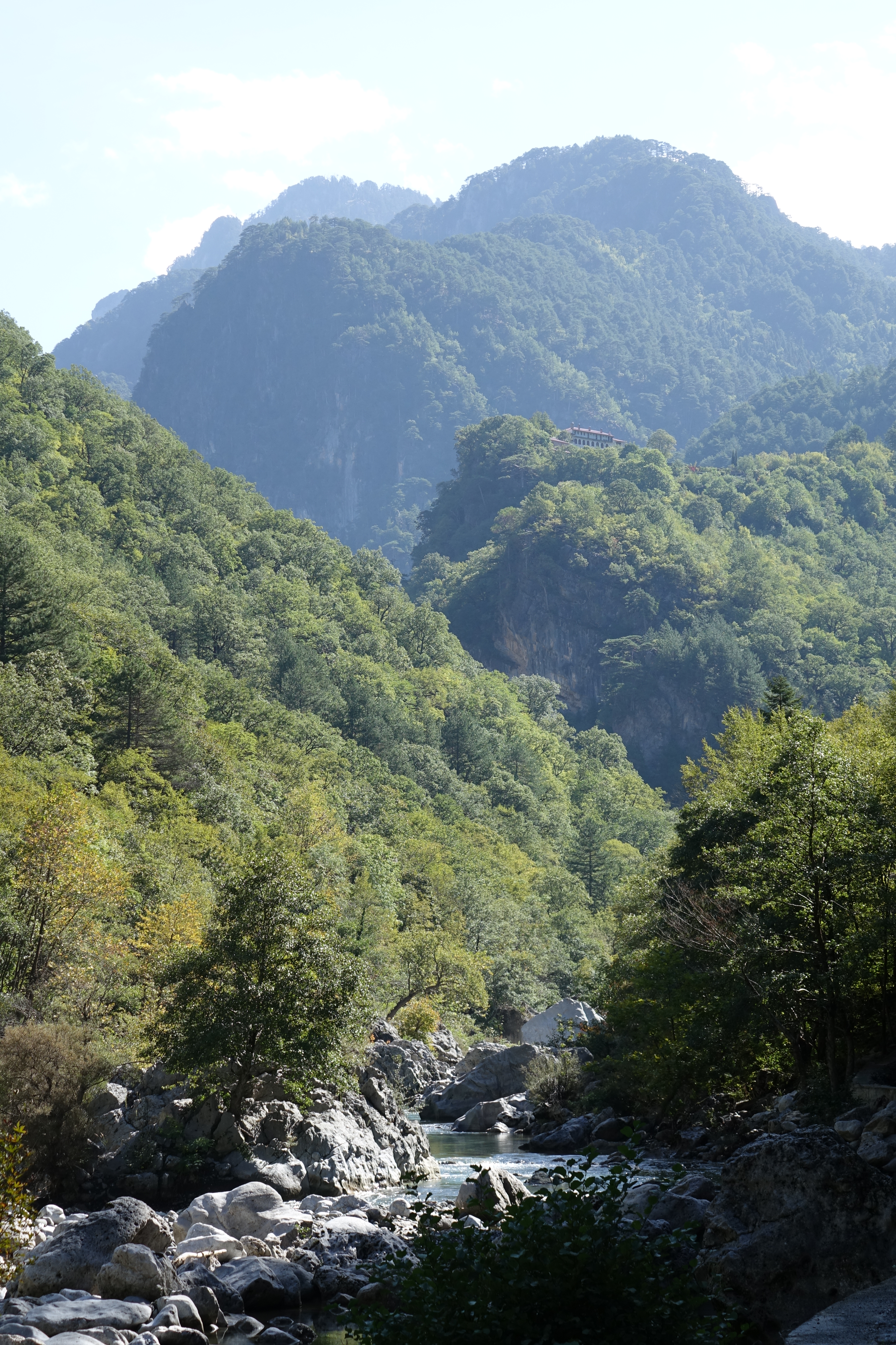 DSC05656